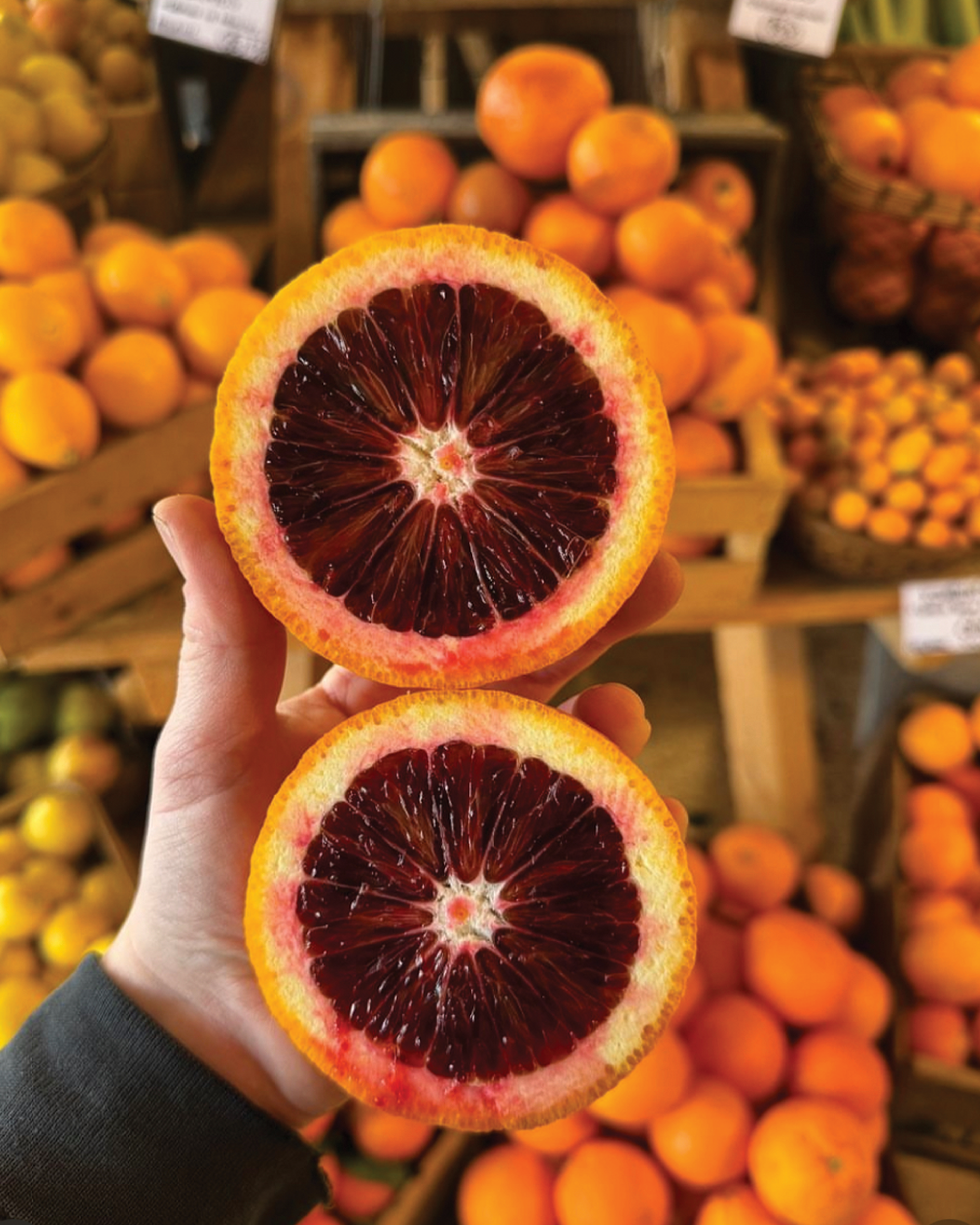 Season planner image