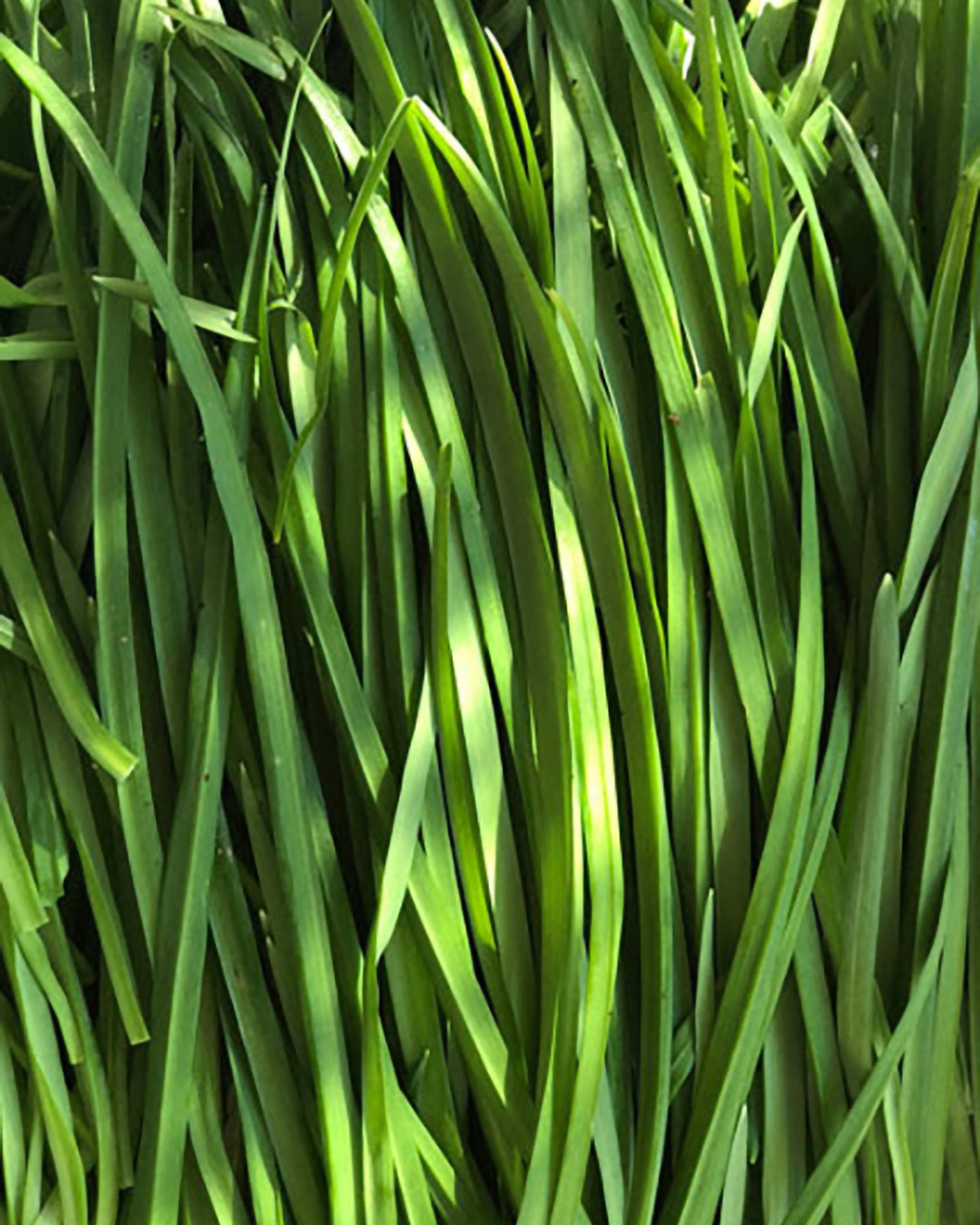 Season planner image