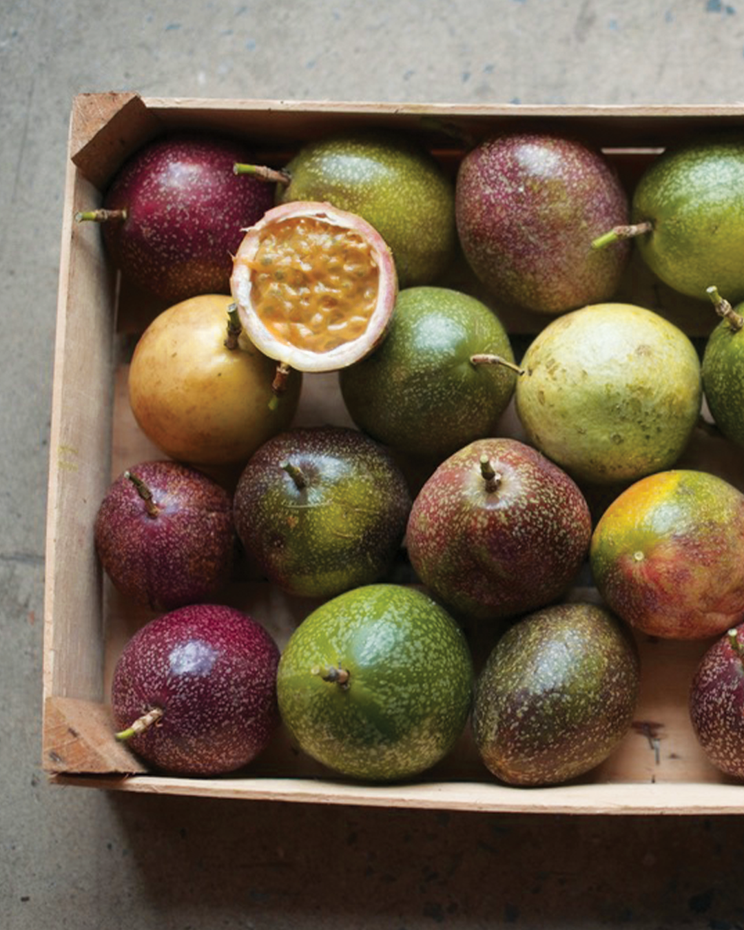 Season planner image