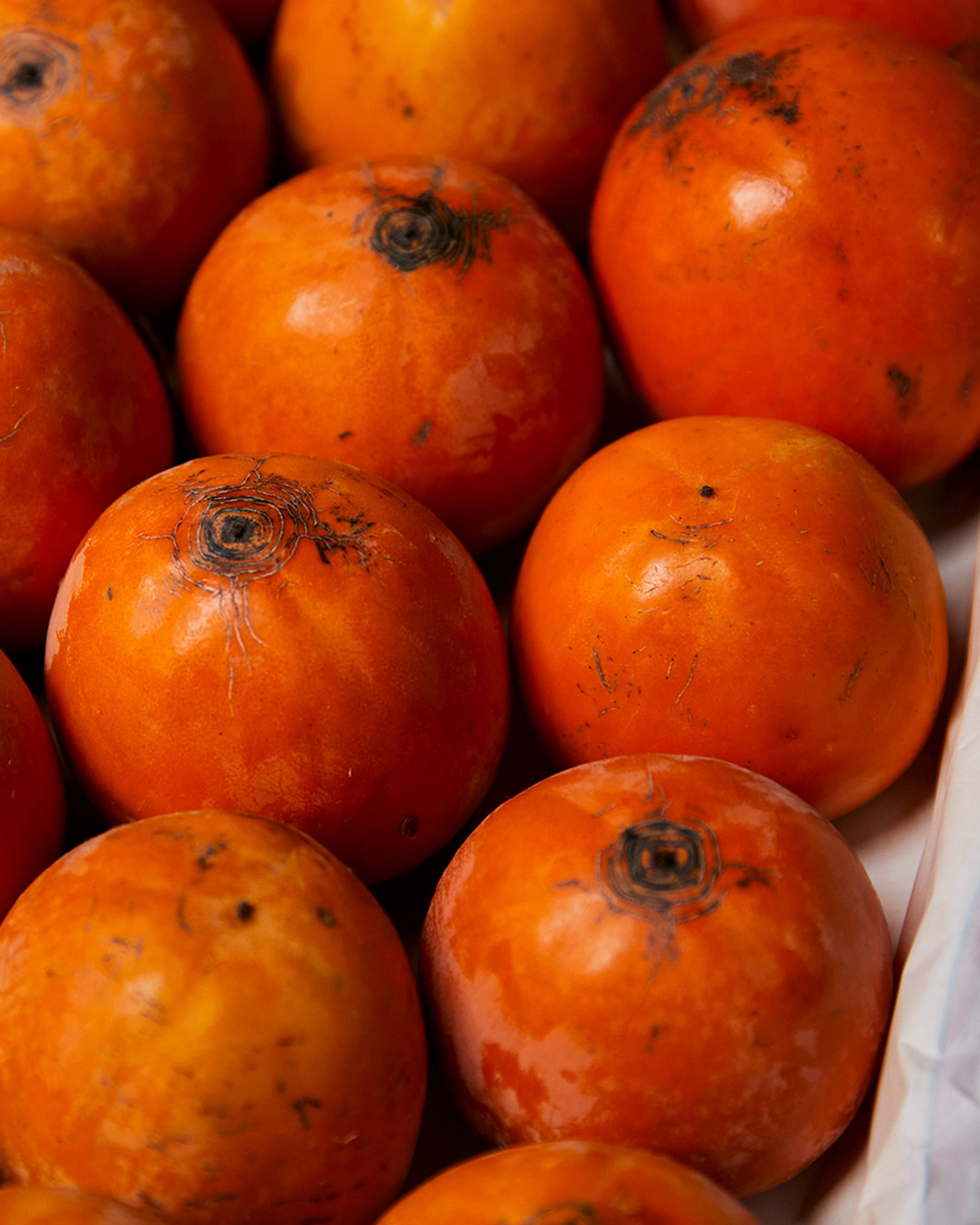 Season planner image