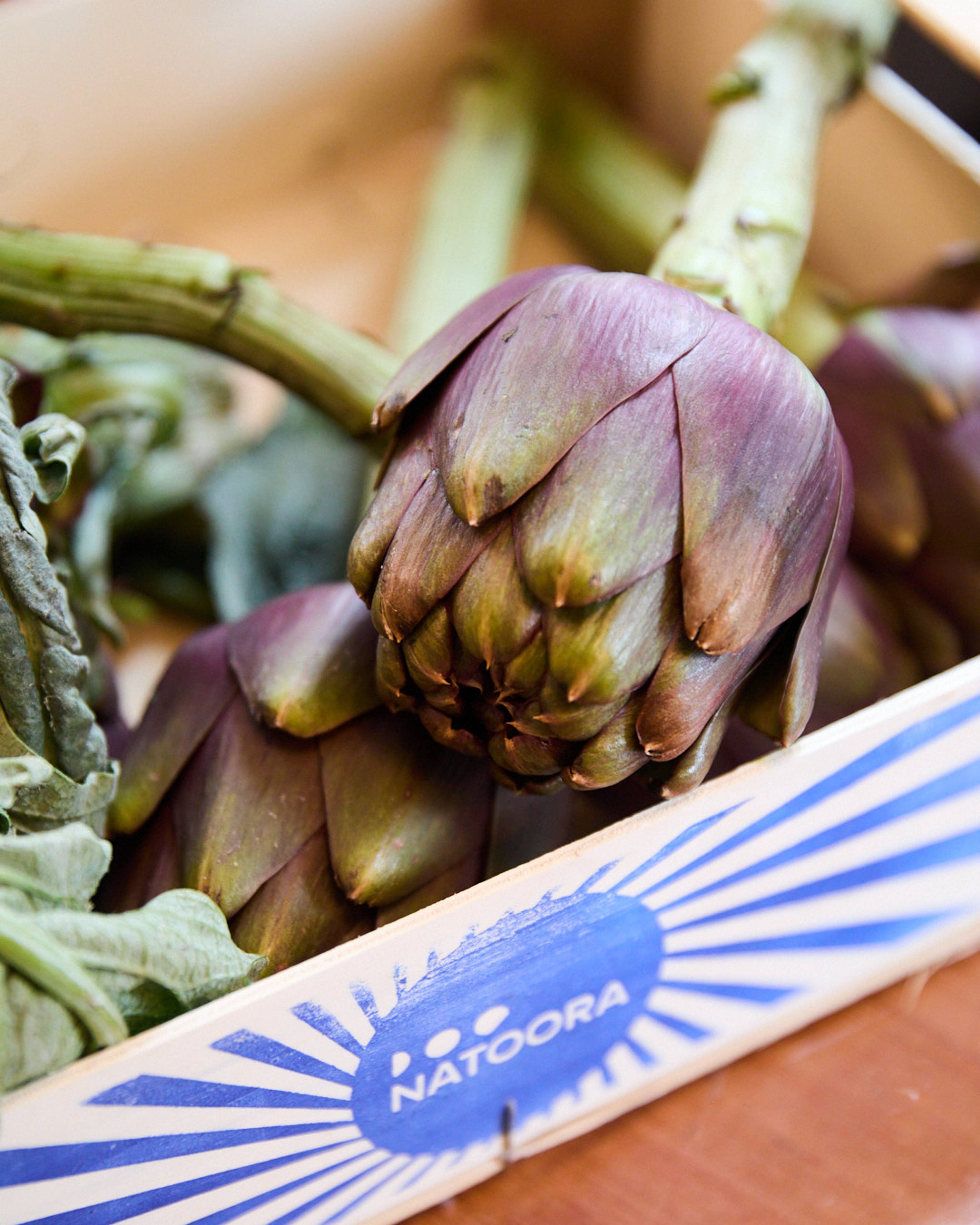 Images with caption alt text