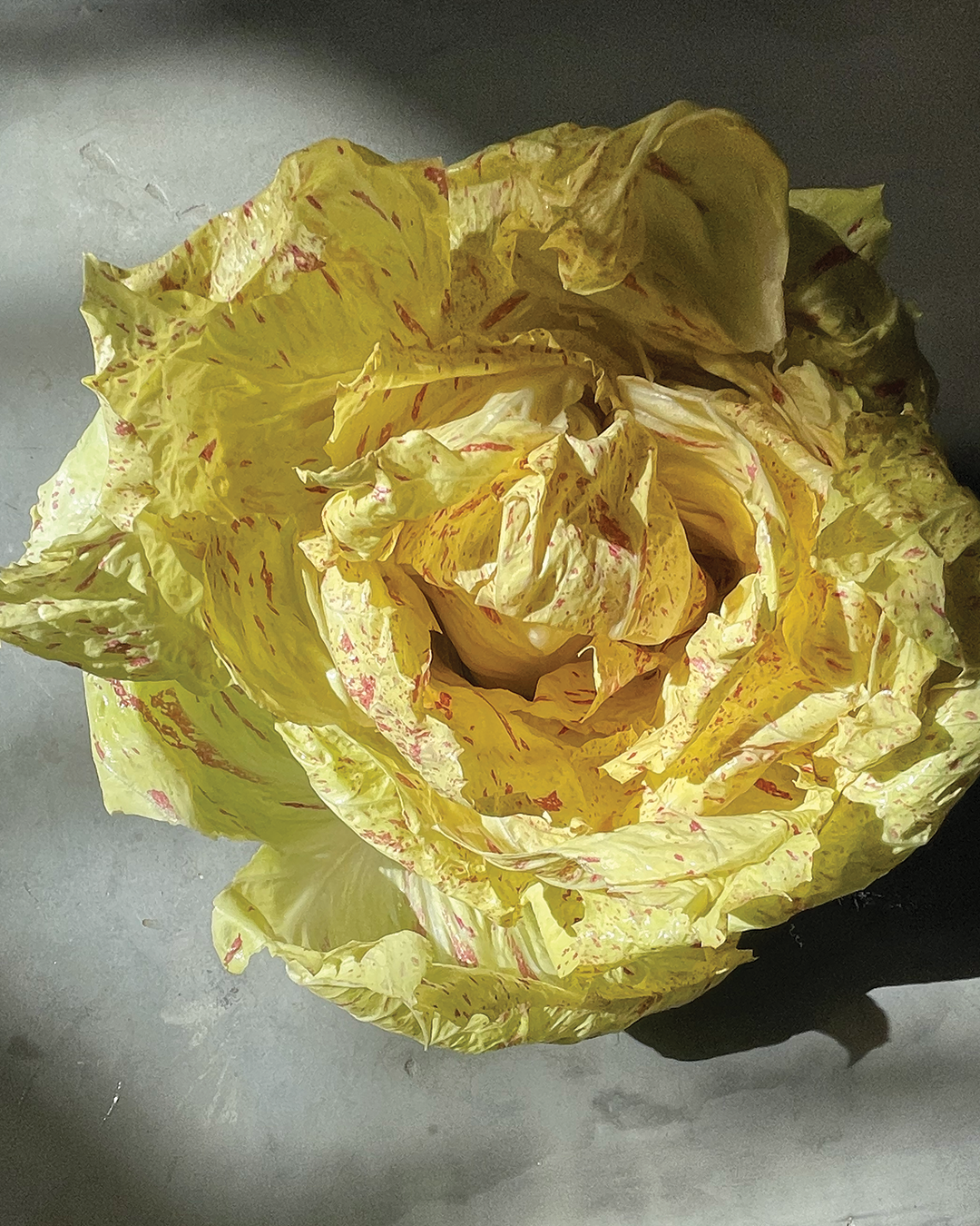 Season planner image