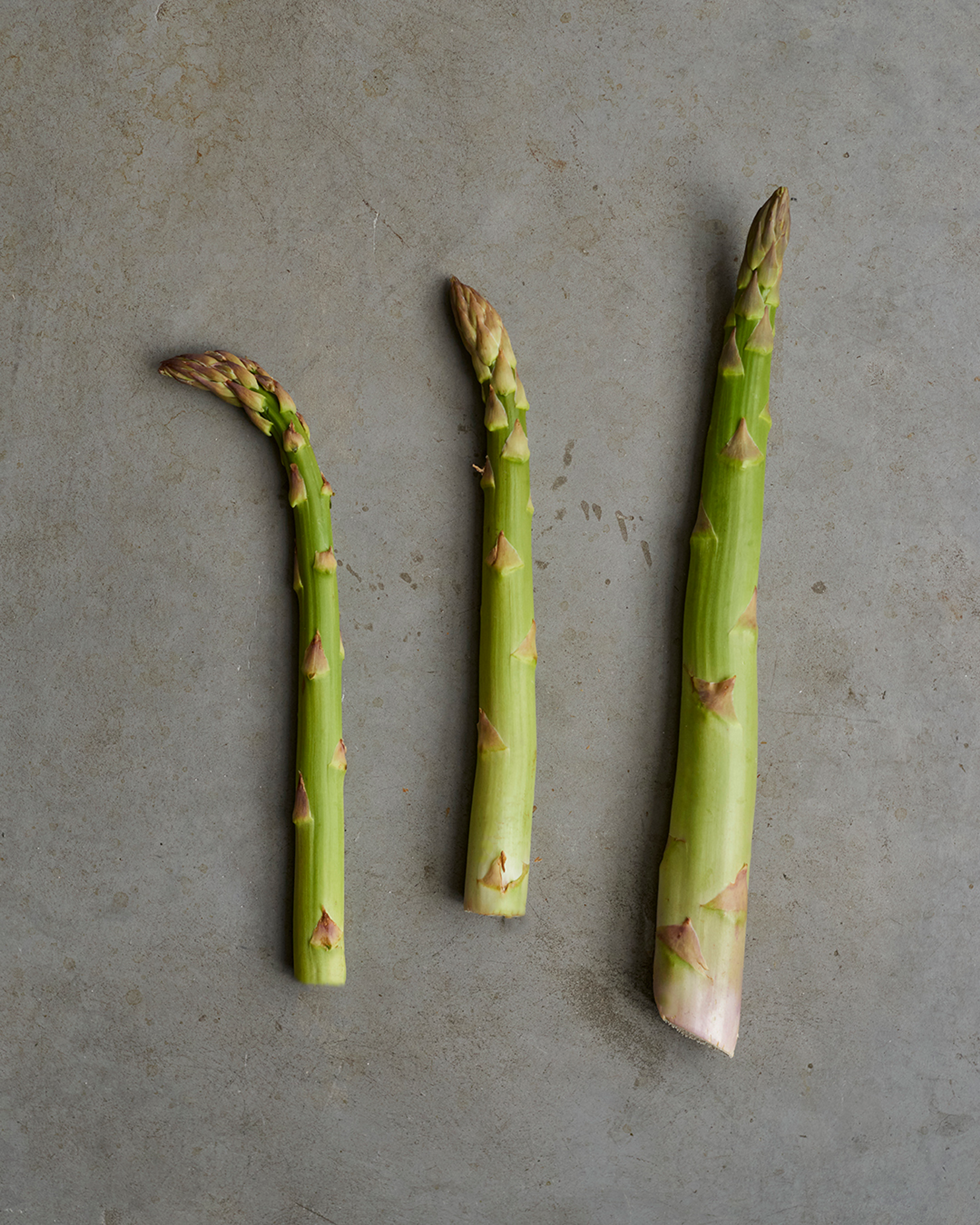 Season planner image