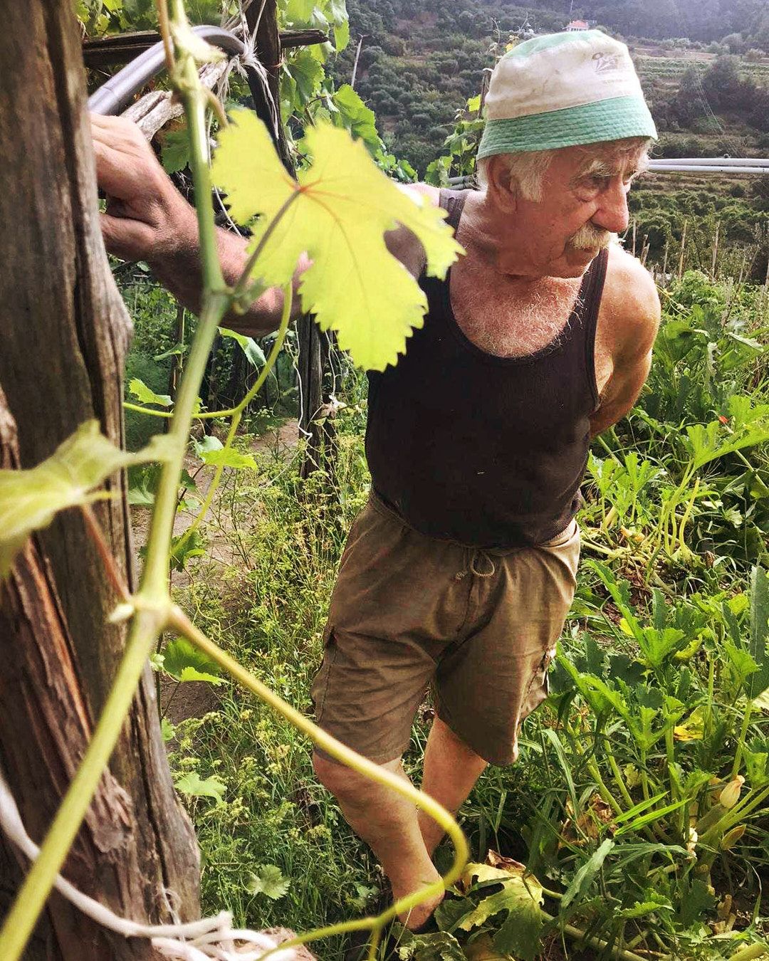 Images with caption alt text