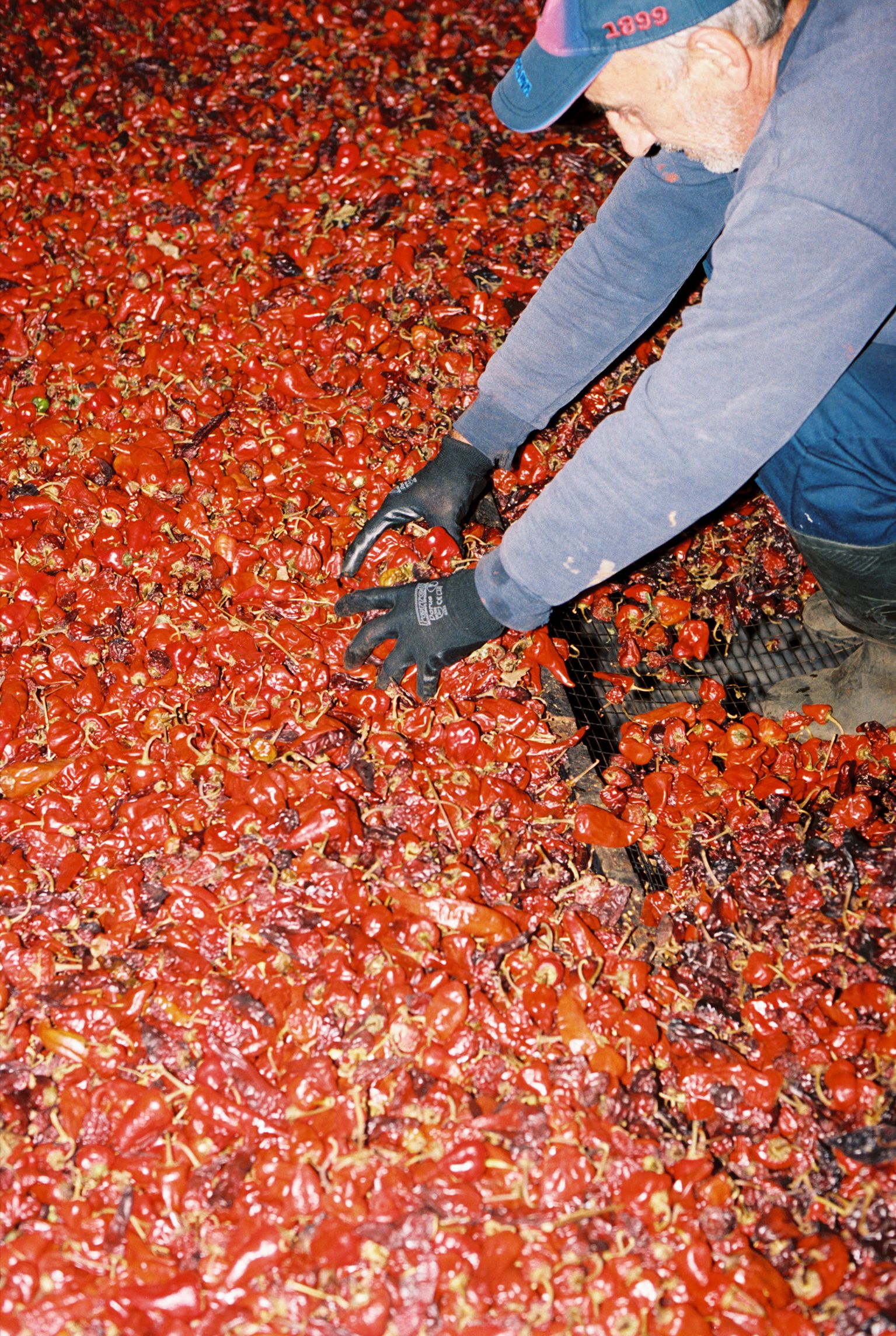 Images with caption alt text
