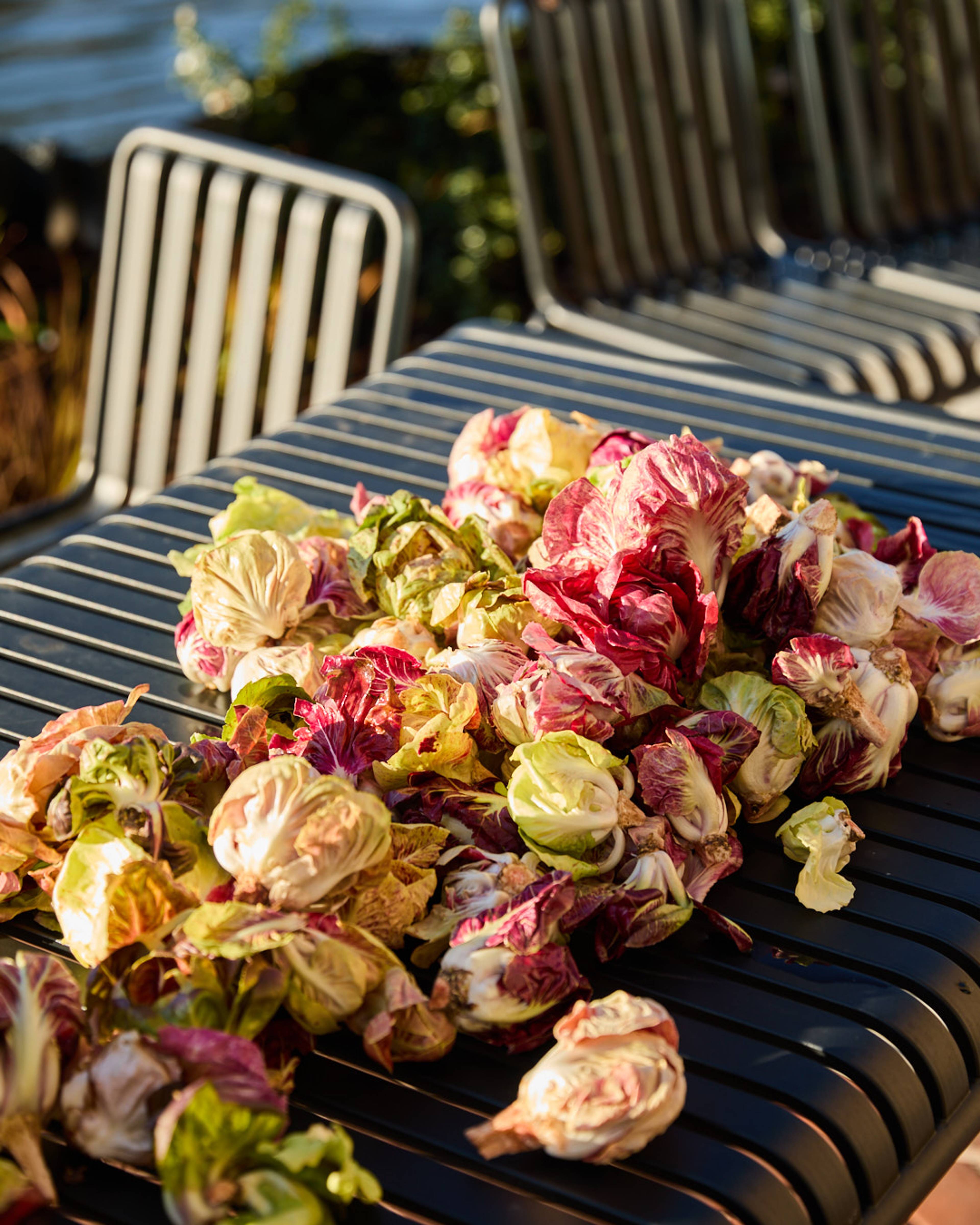 Images with caption alt text