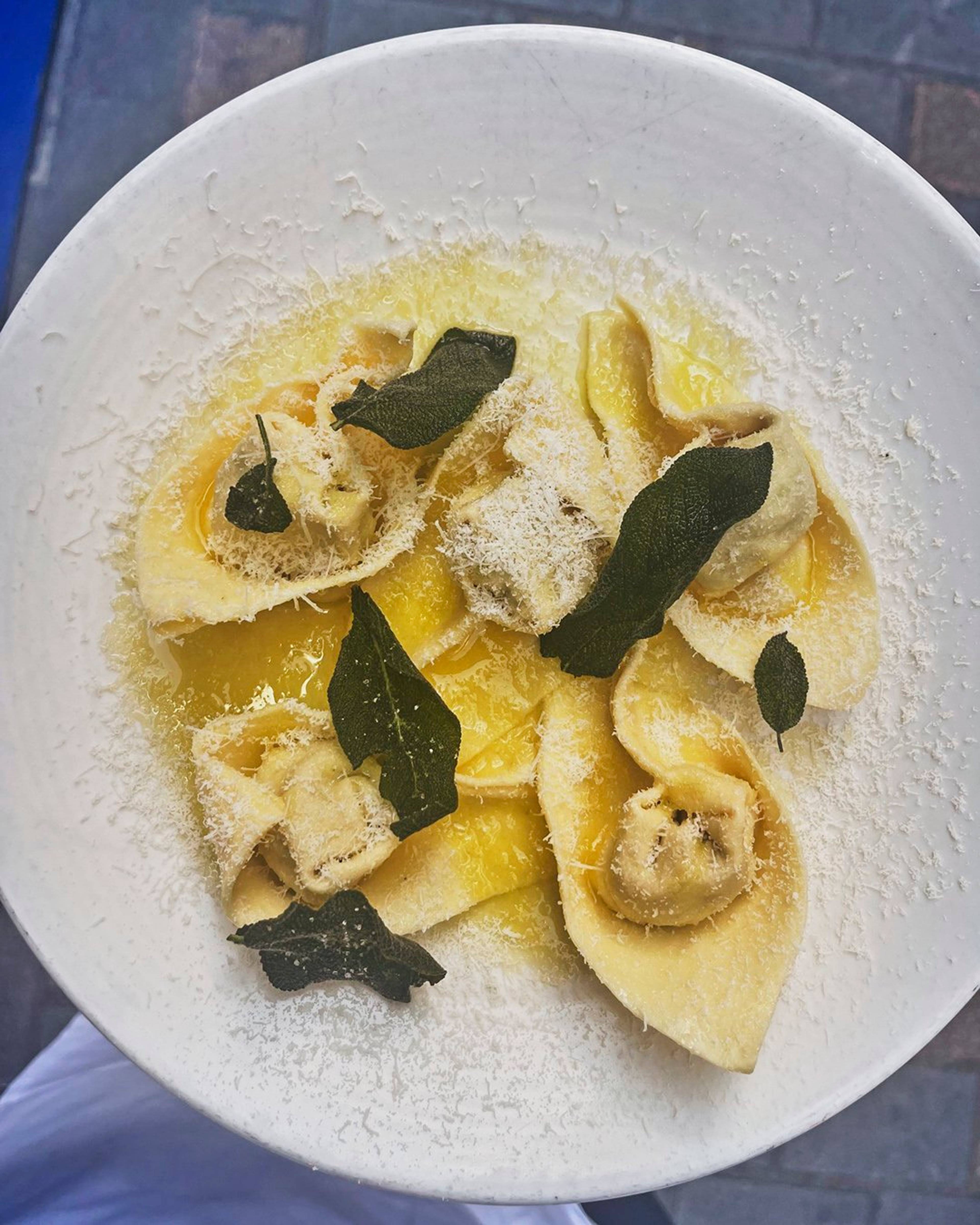 delica pumpkin cappellacci on a plate with sage