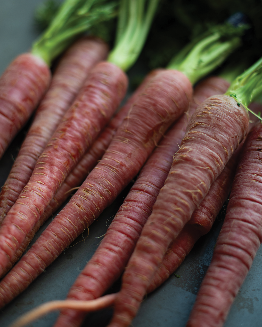 Season planner image