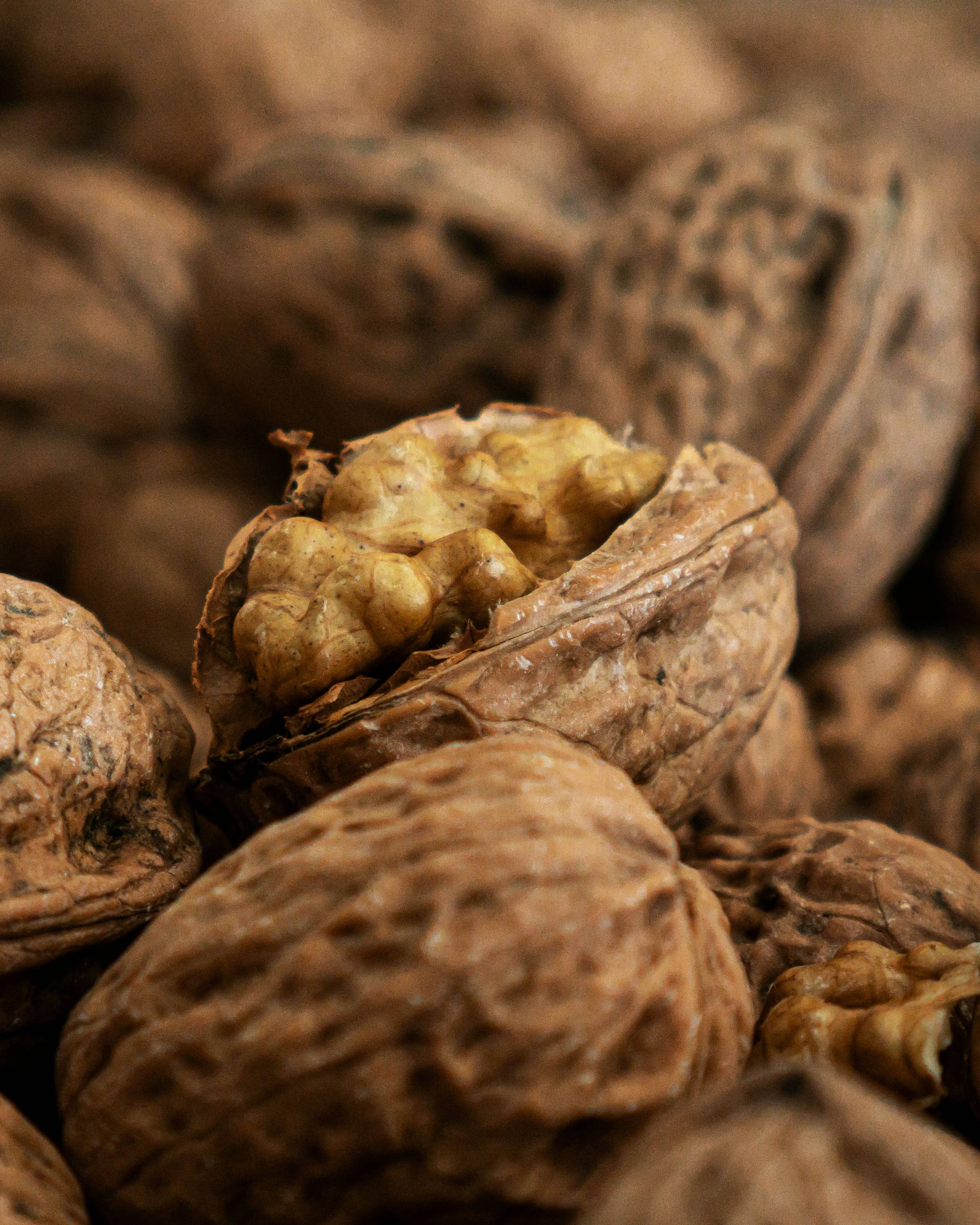 fresh walnut coming through the shell