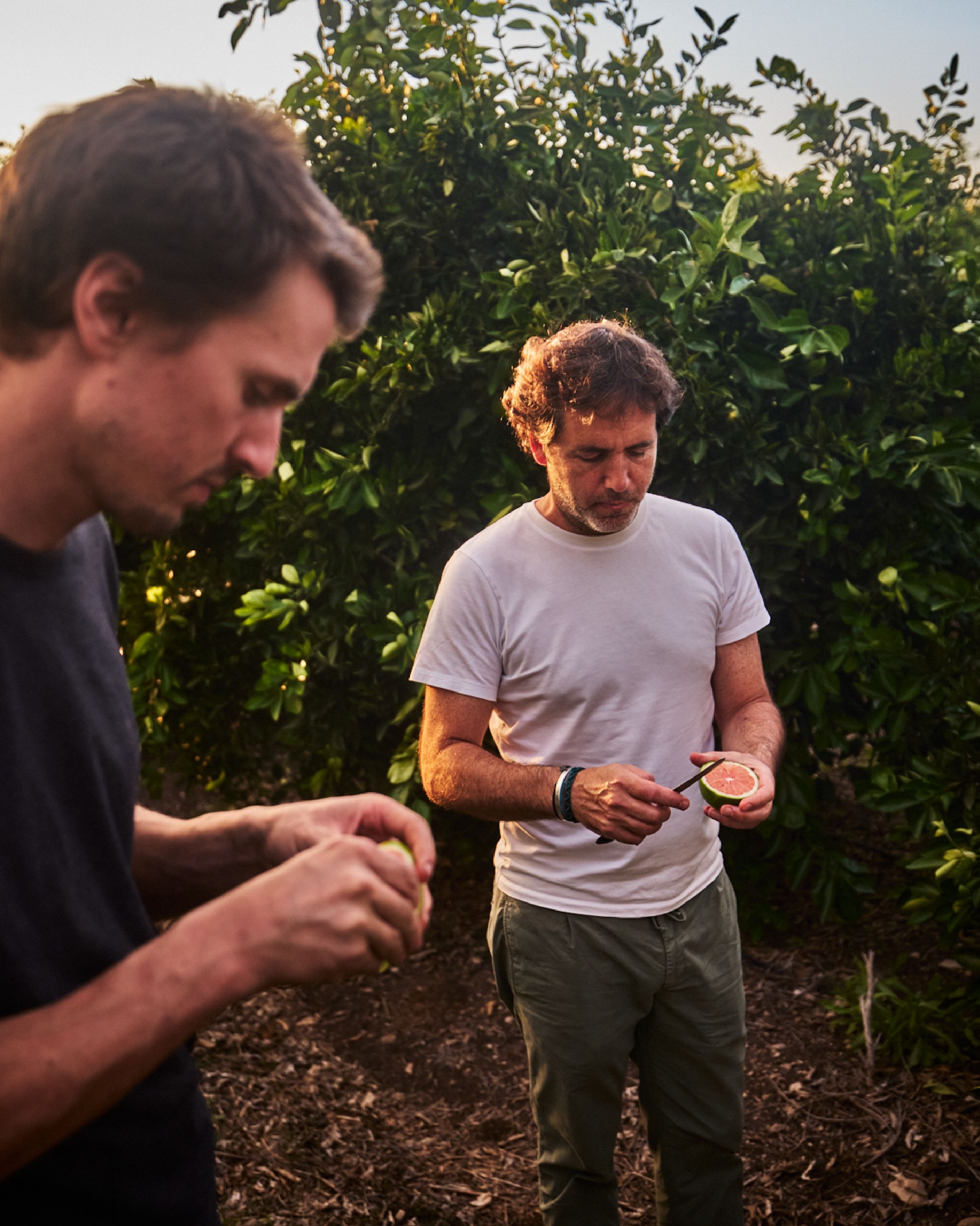 Images with caption alt text