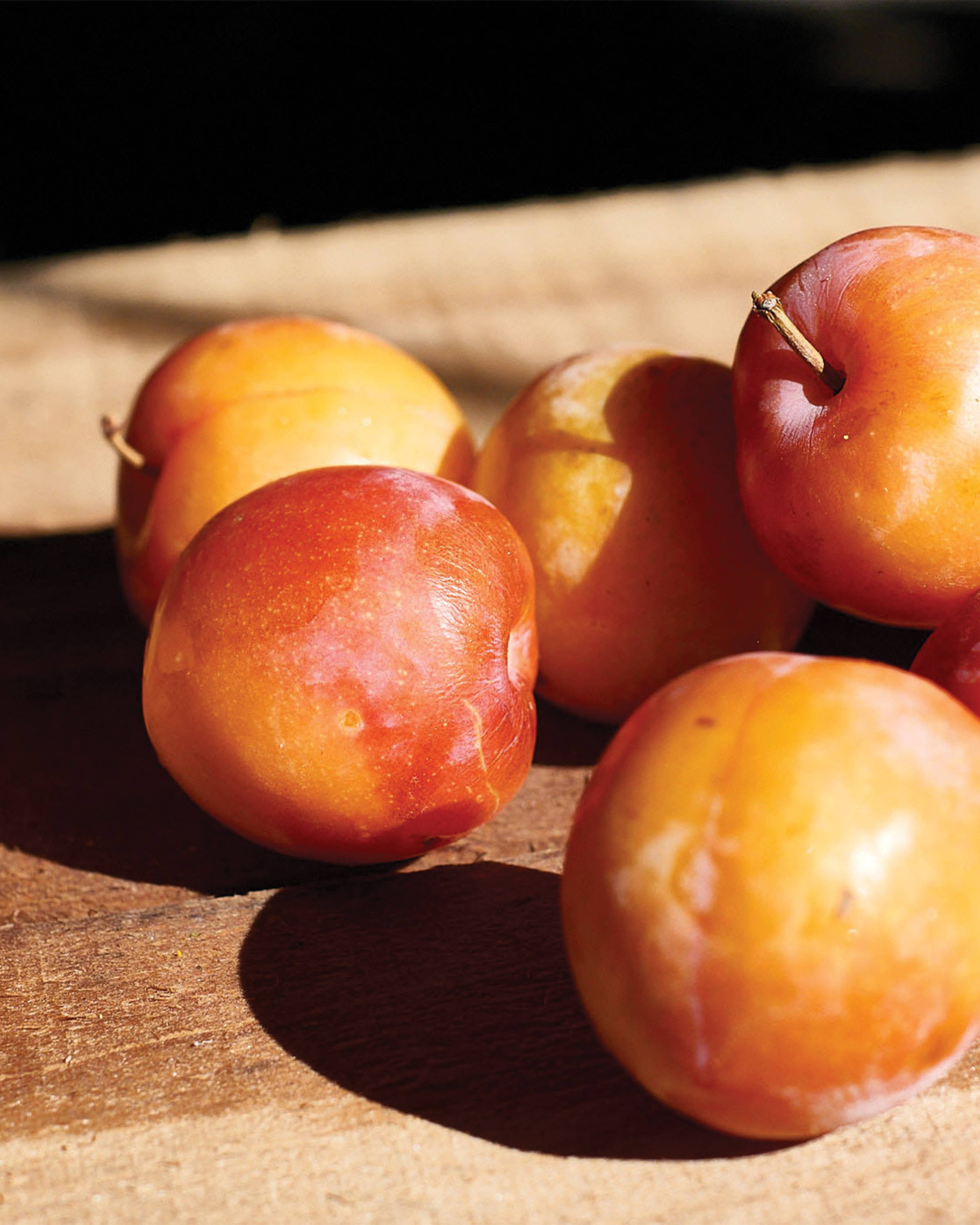 splash plums