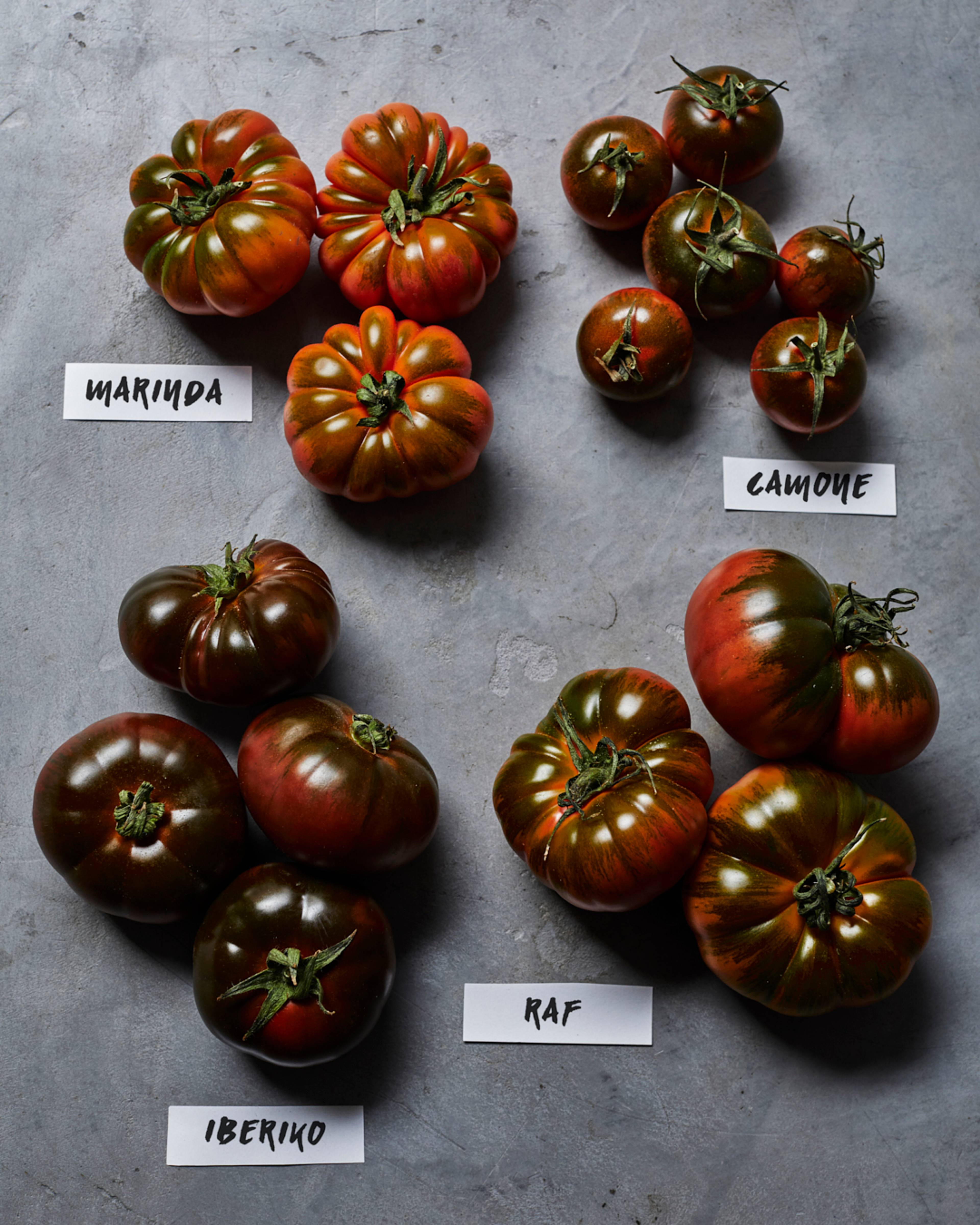 Images with caption alt text