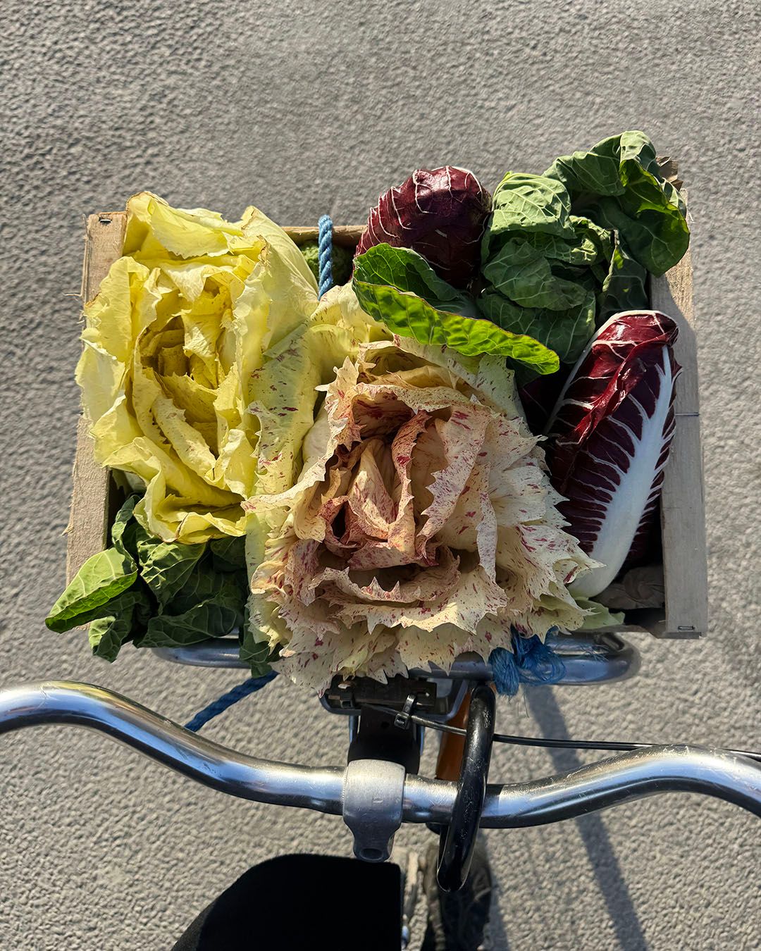 Images with caption alt text