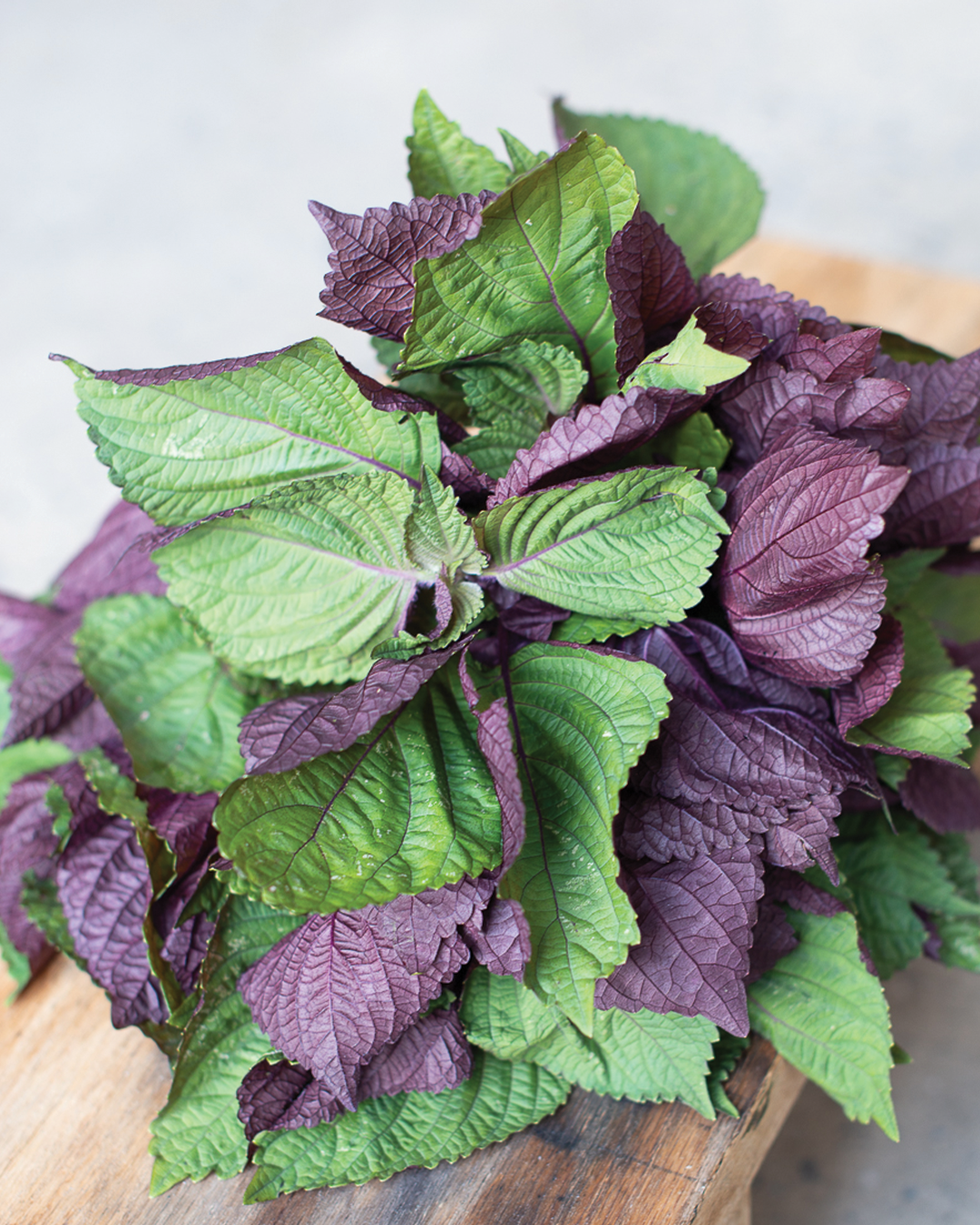 shiso on plank