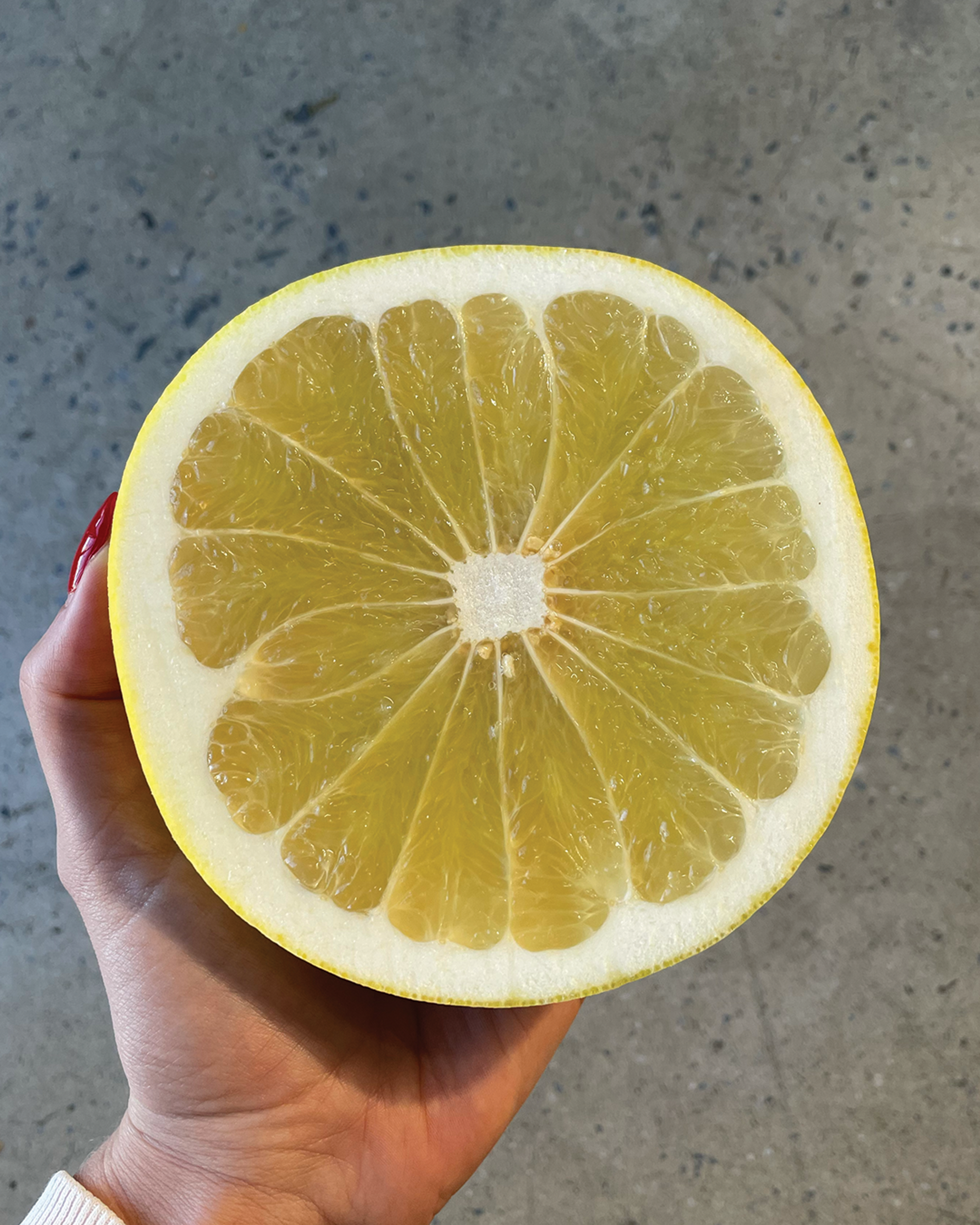 Season planner image