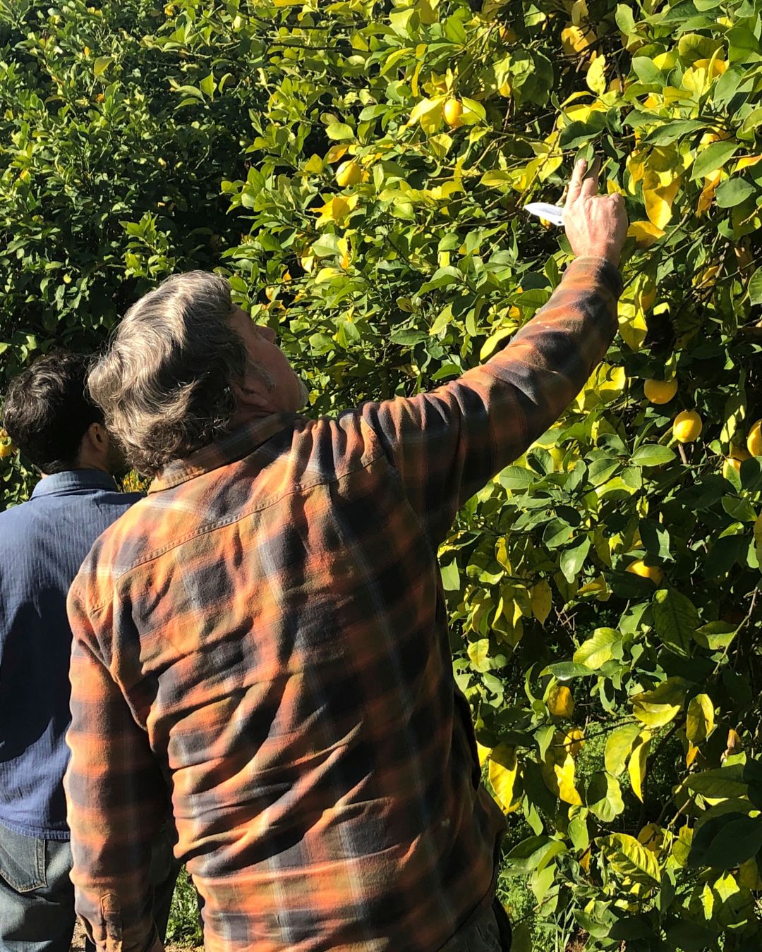 Season planner image