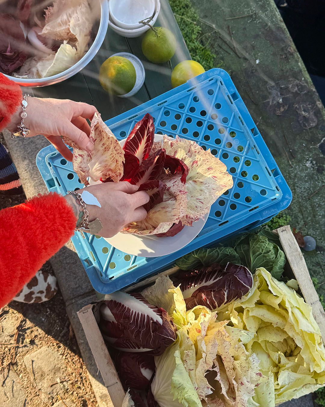 Images with caption alt text