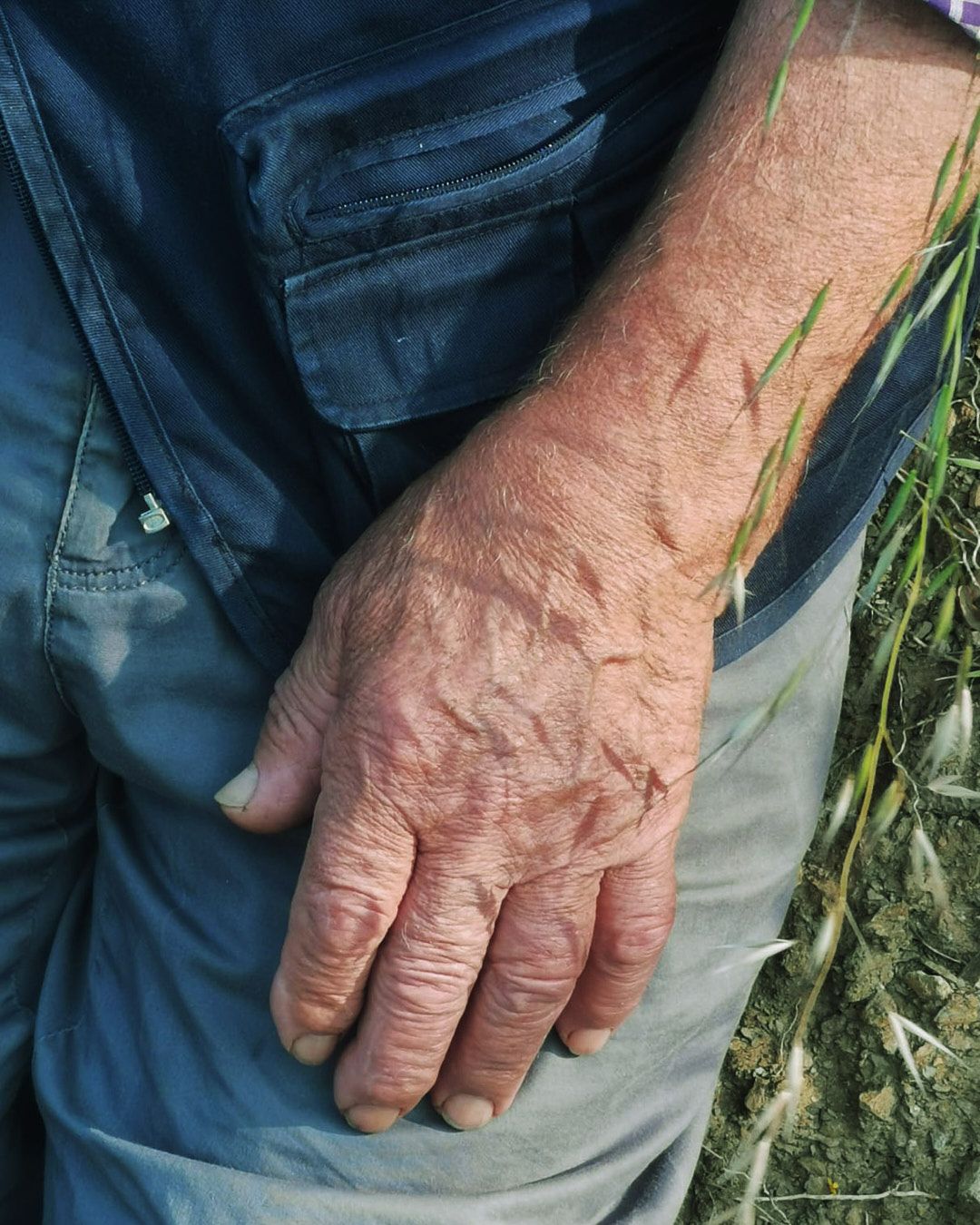 Images with caption alt text