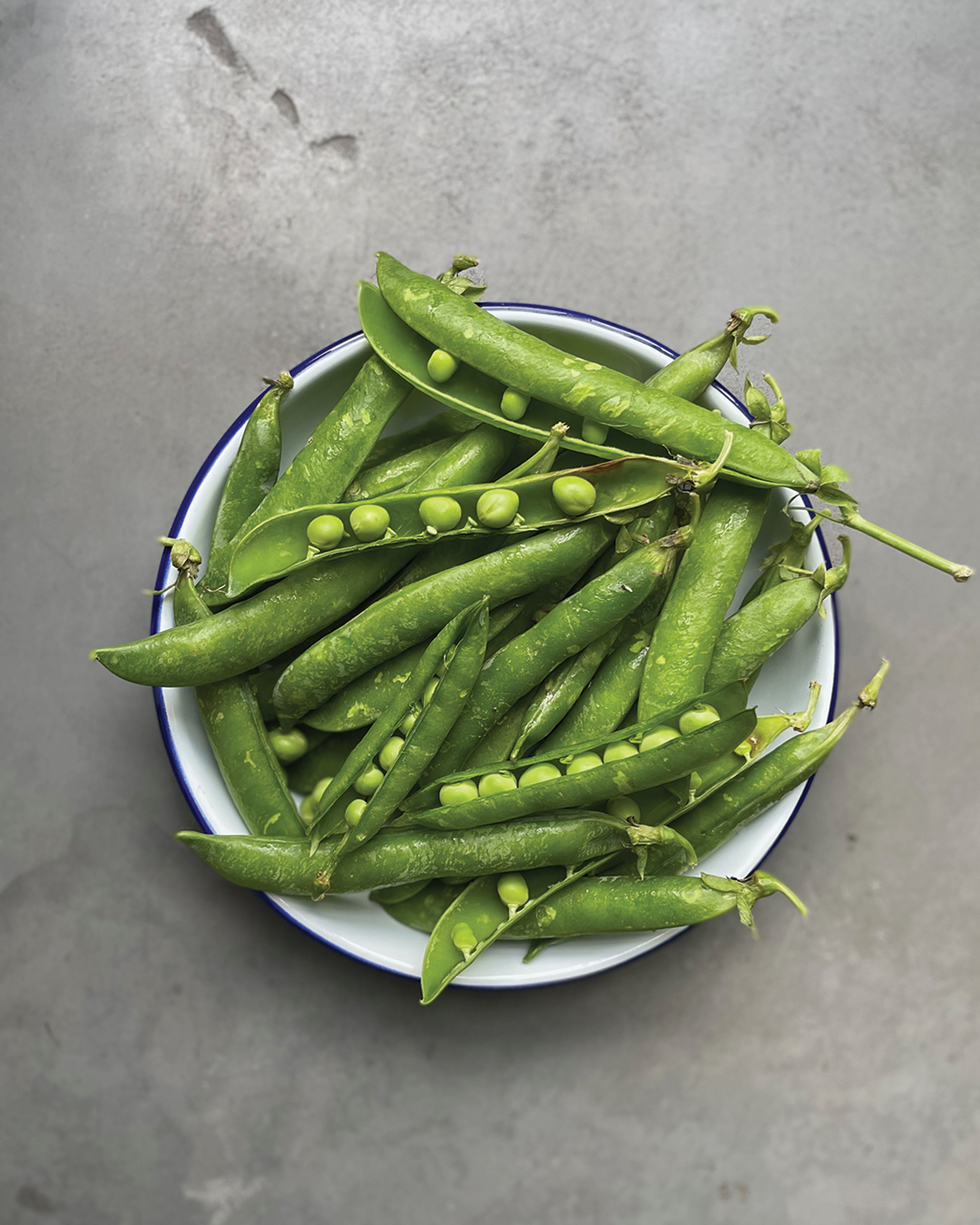 Season planner image