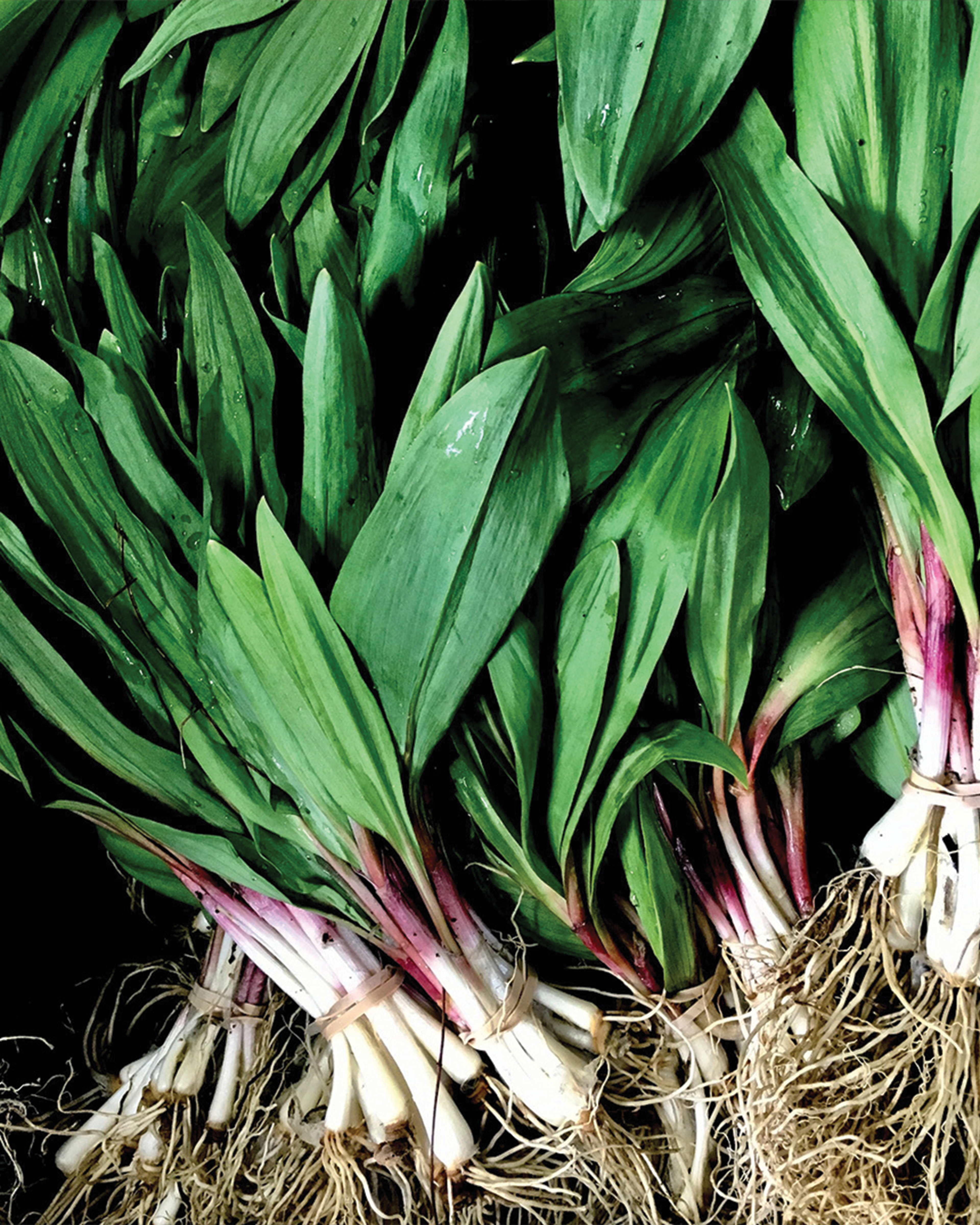 Season planner image