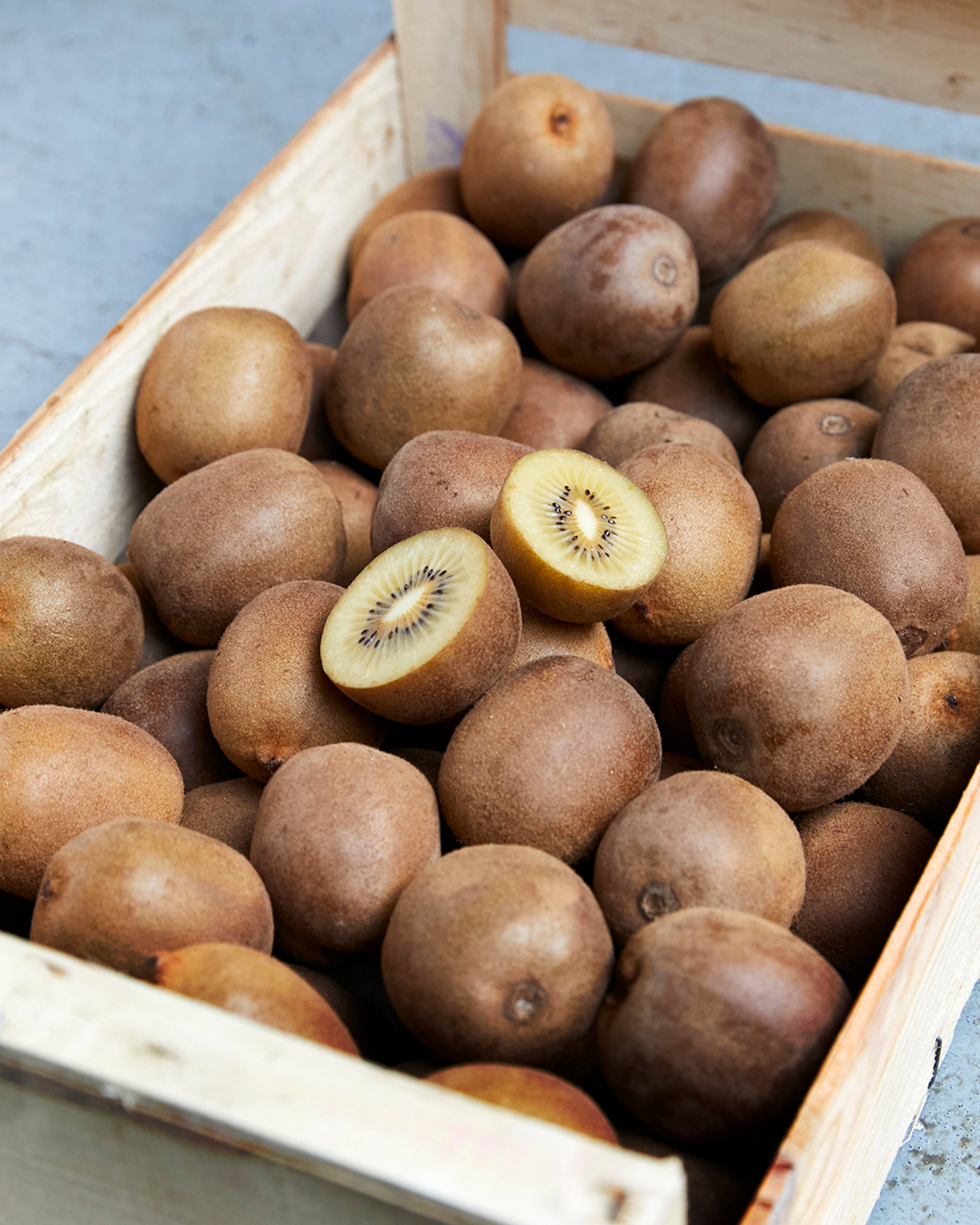 Season planner image