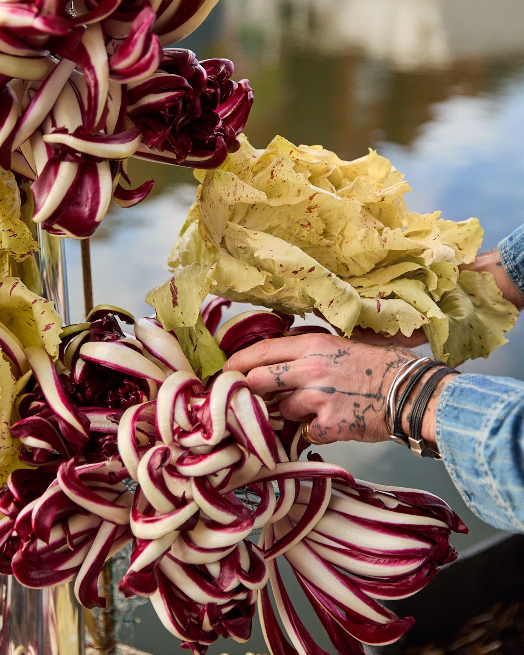 Images with caption alt text