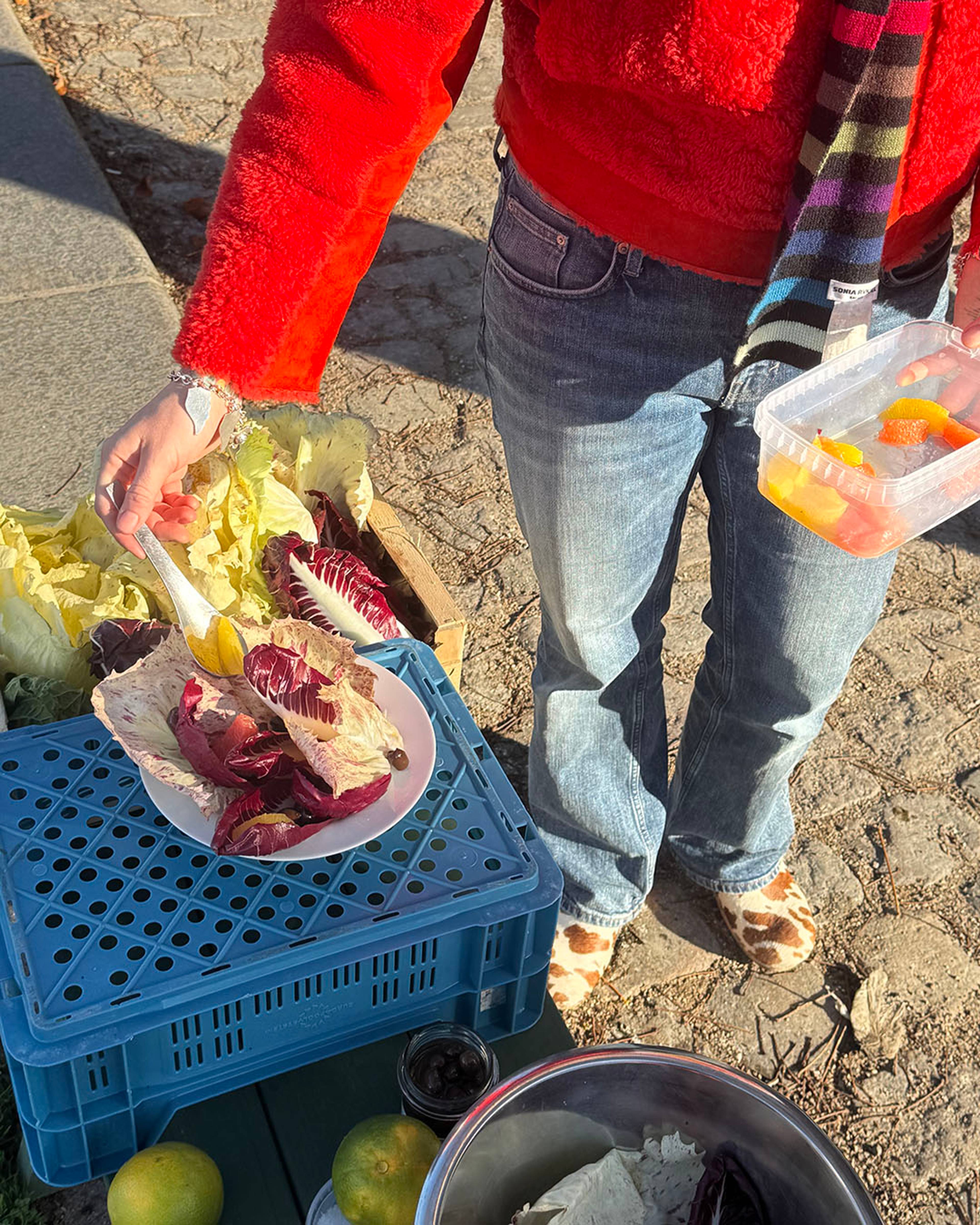 Images with caption alt text