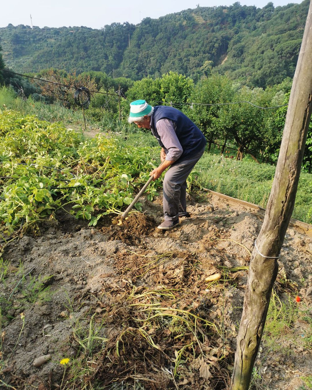 Images with caption alt text