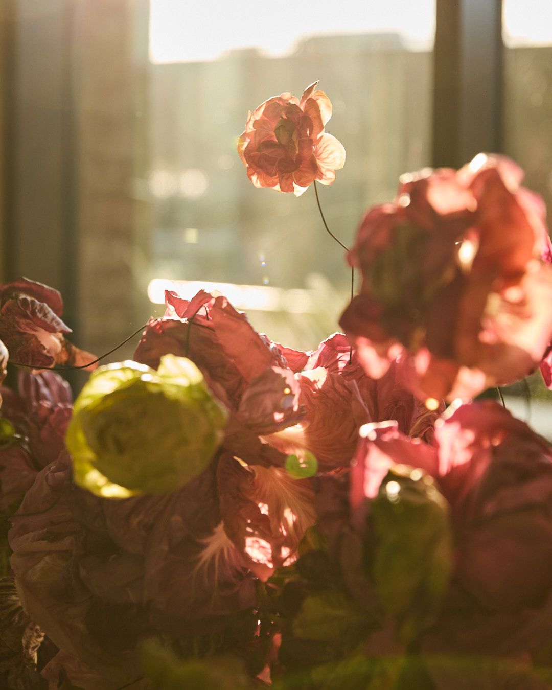 Images with caption alt text