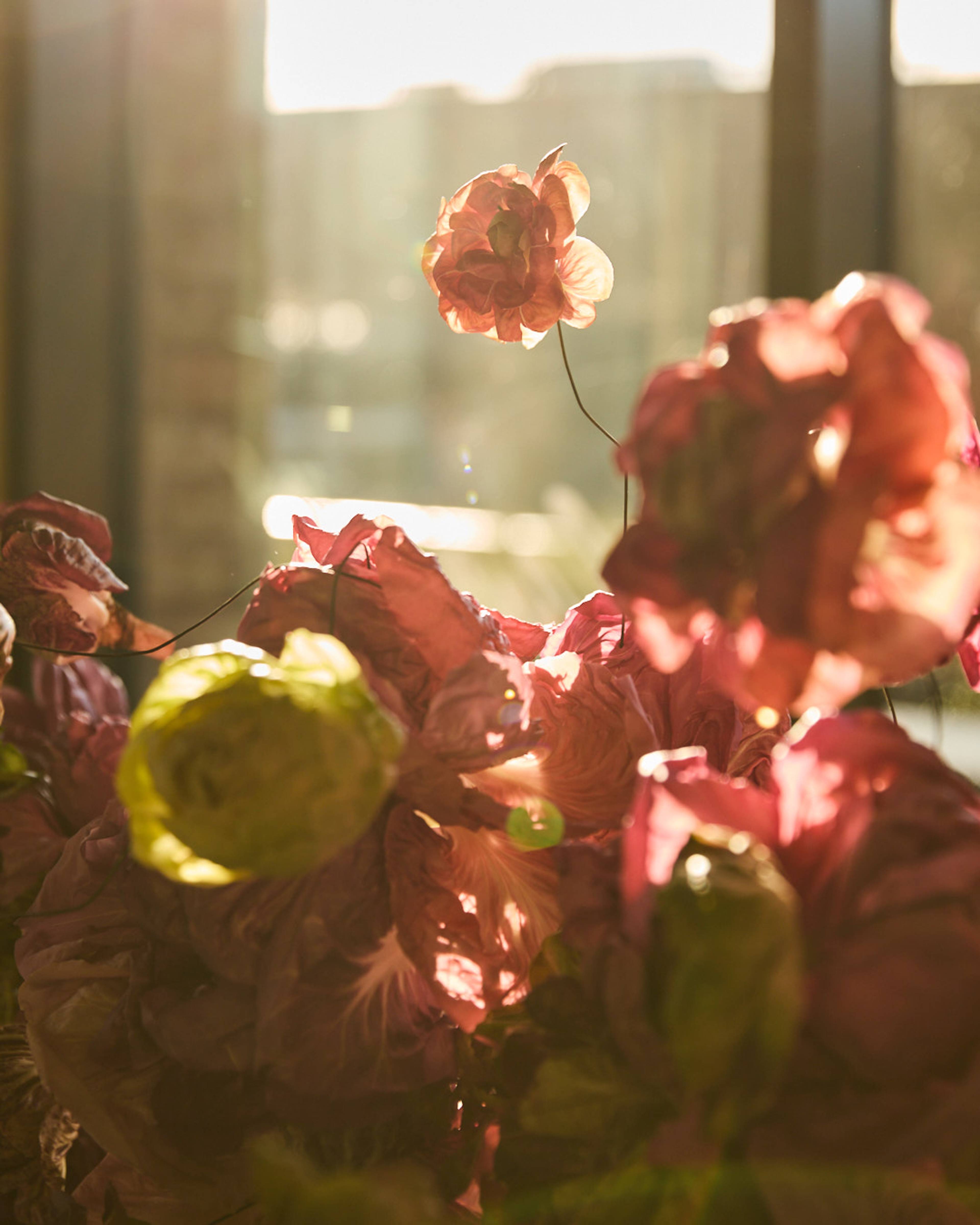 Images with caption alt text