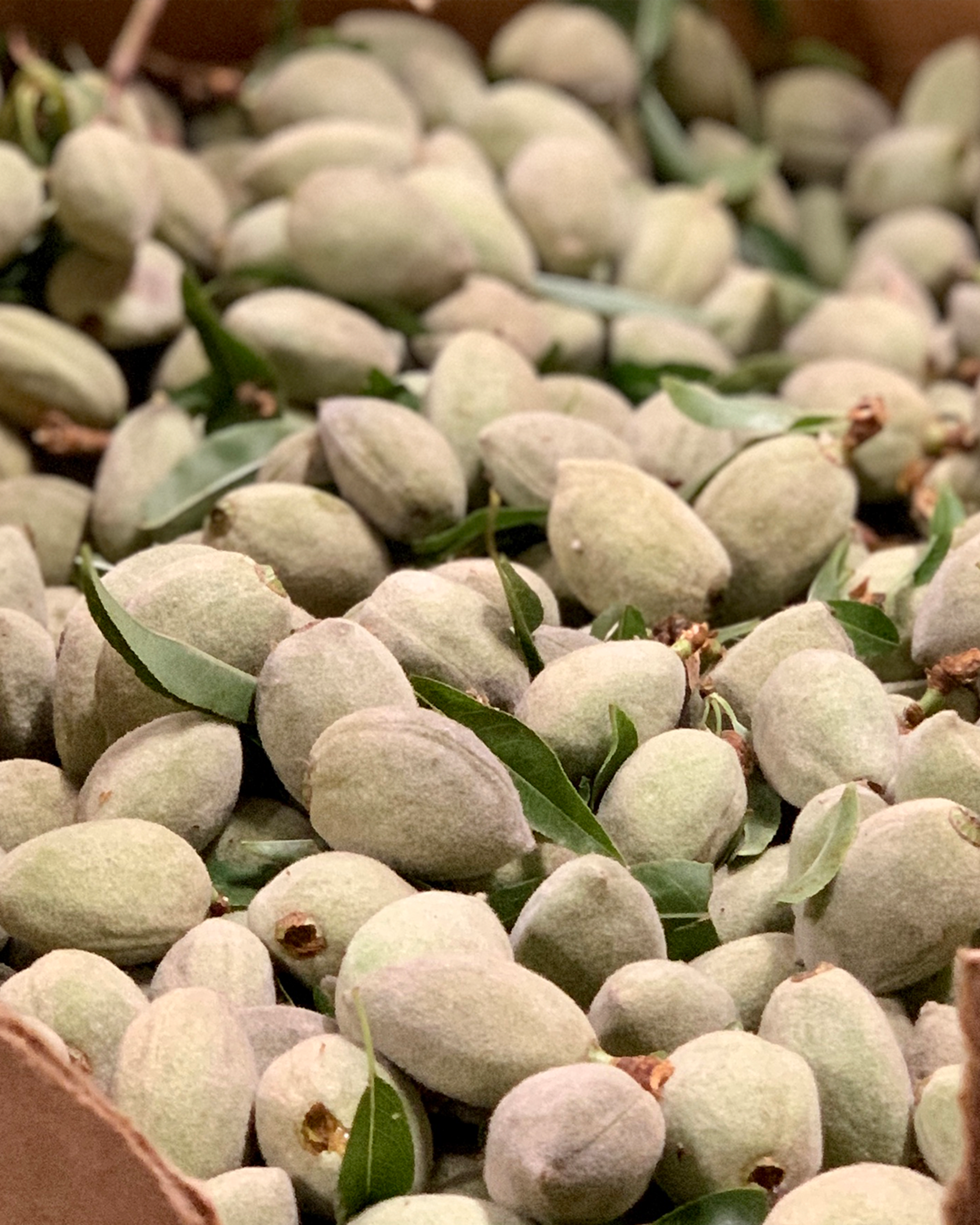 Season planner image