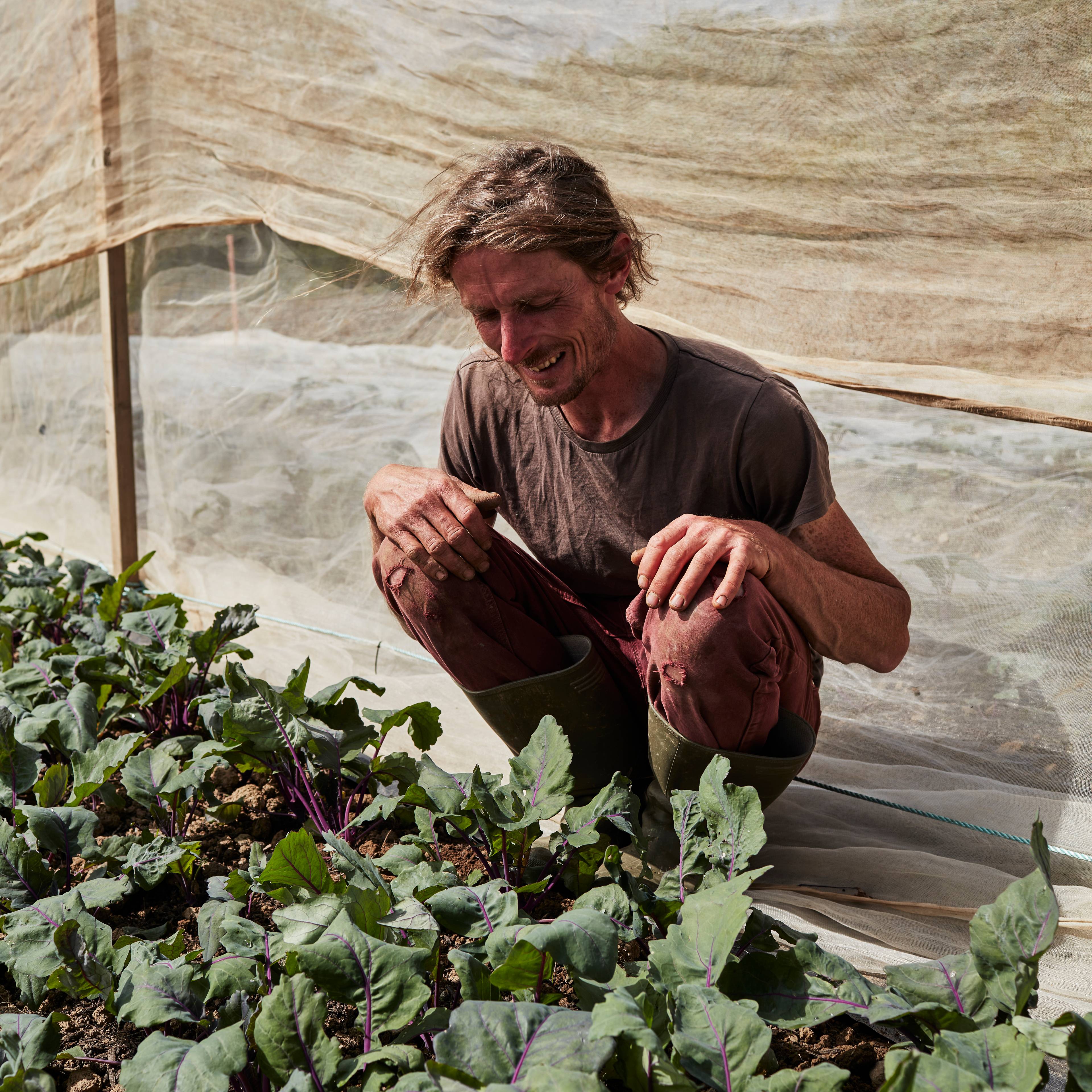 Grower Oli at his farm in Cornwall looking at his plants