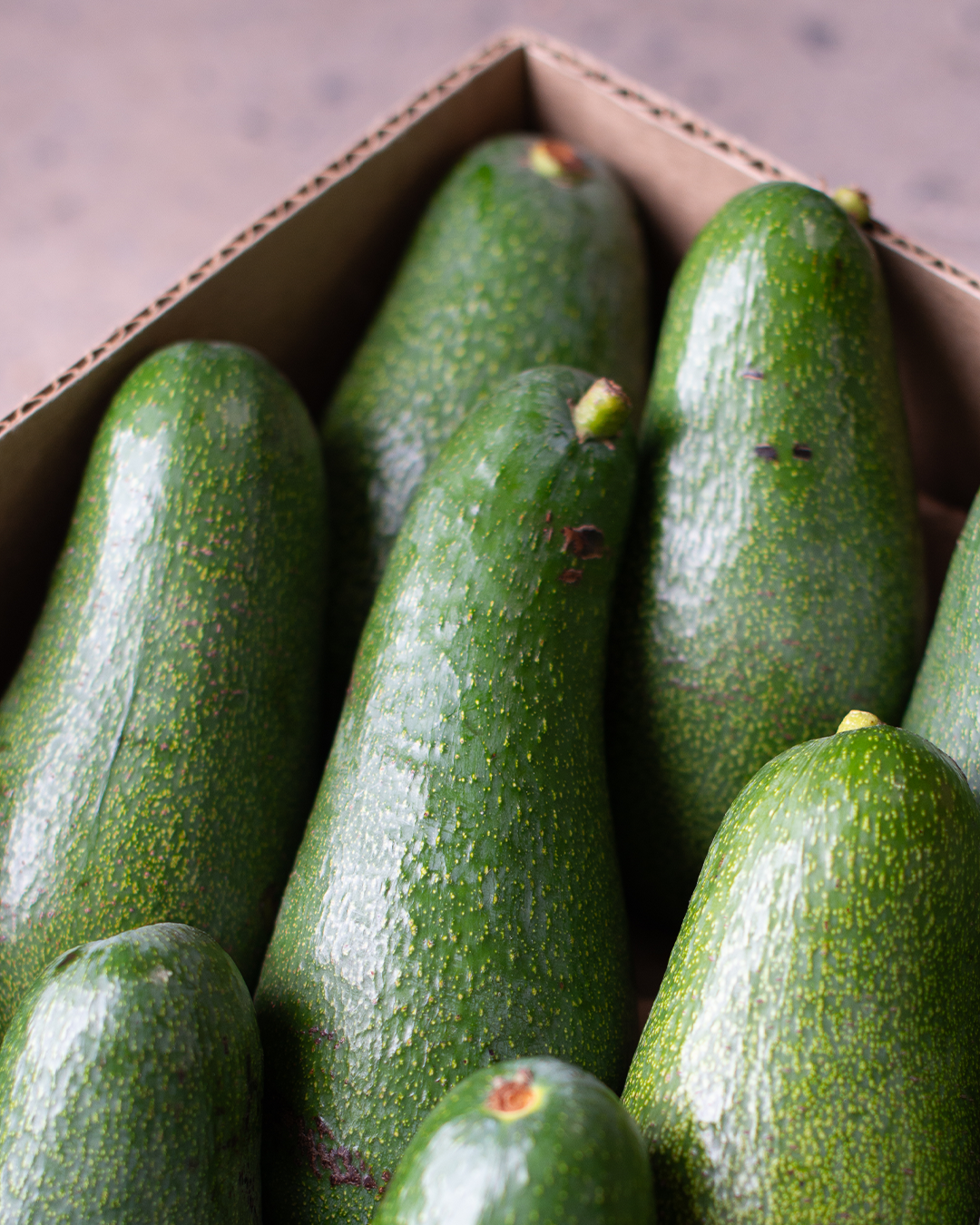 Season planner image