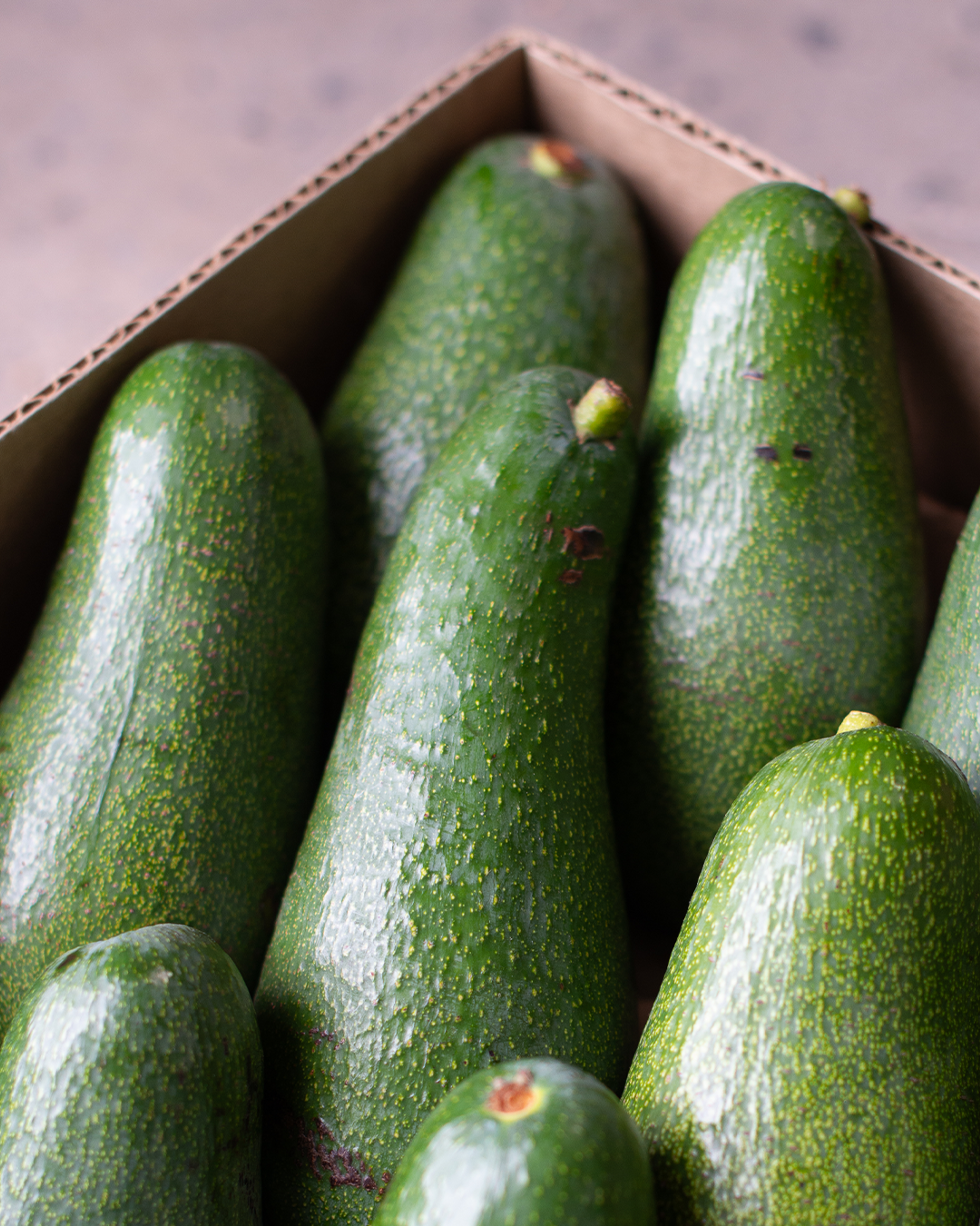 Season planner image