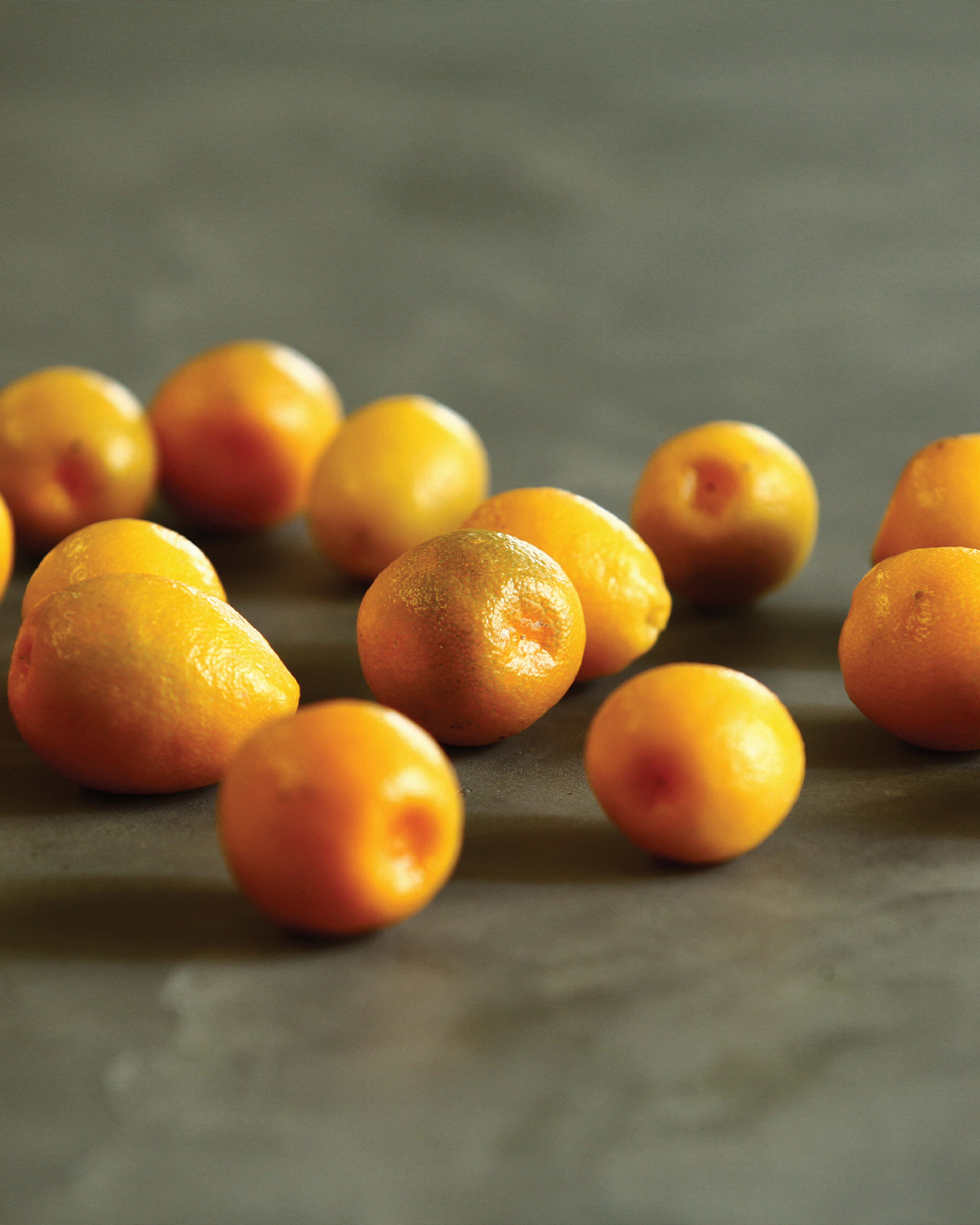 Season planner image