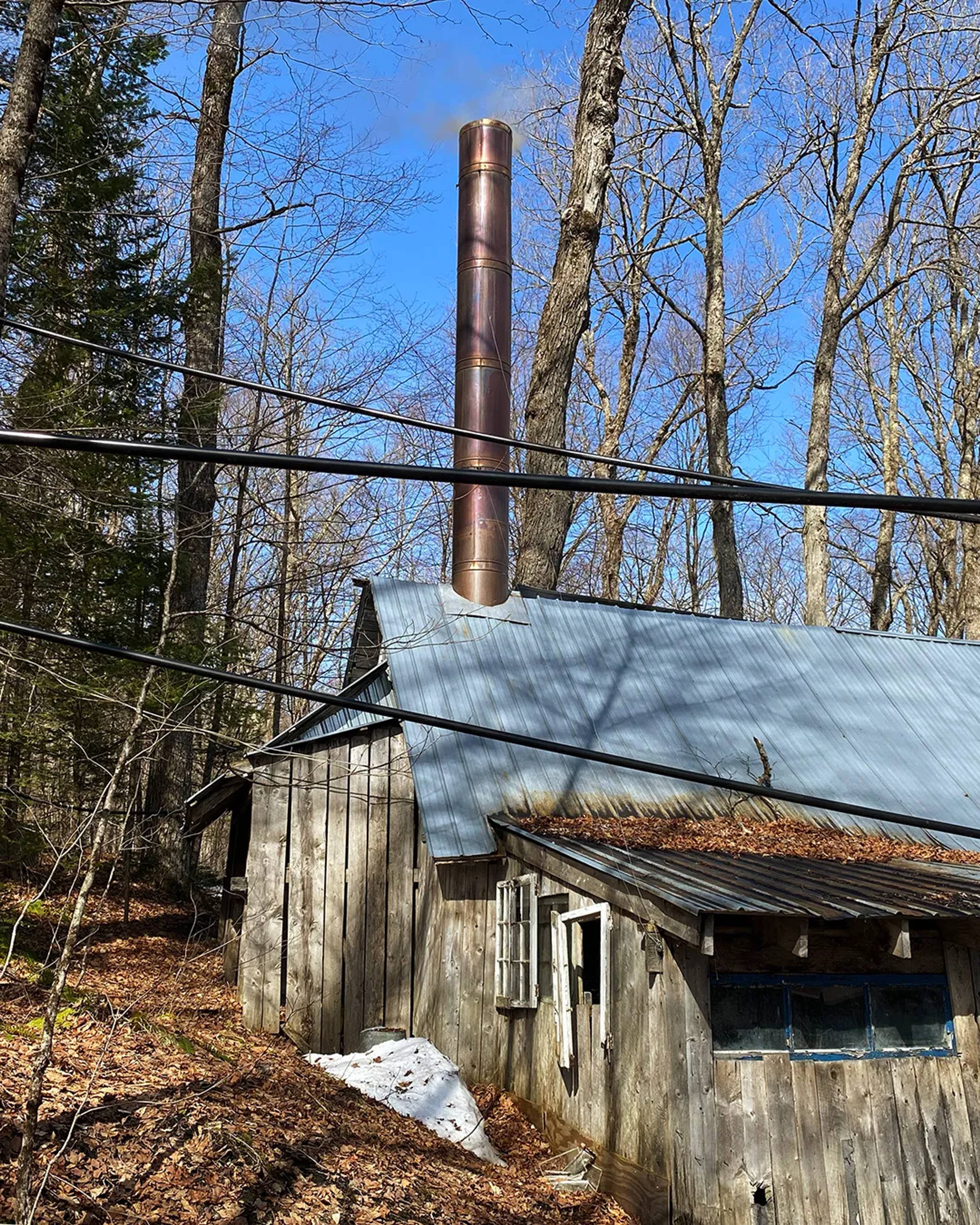 Images with caption alt text