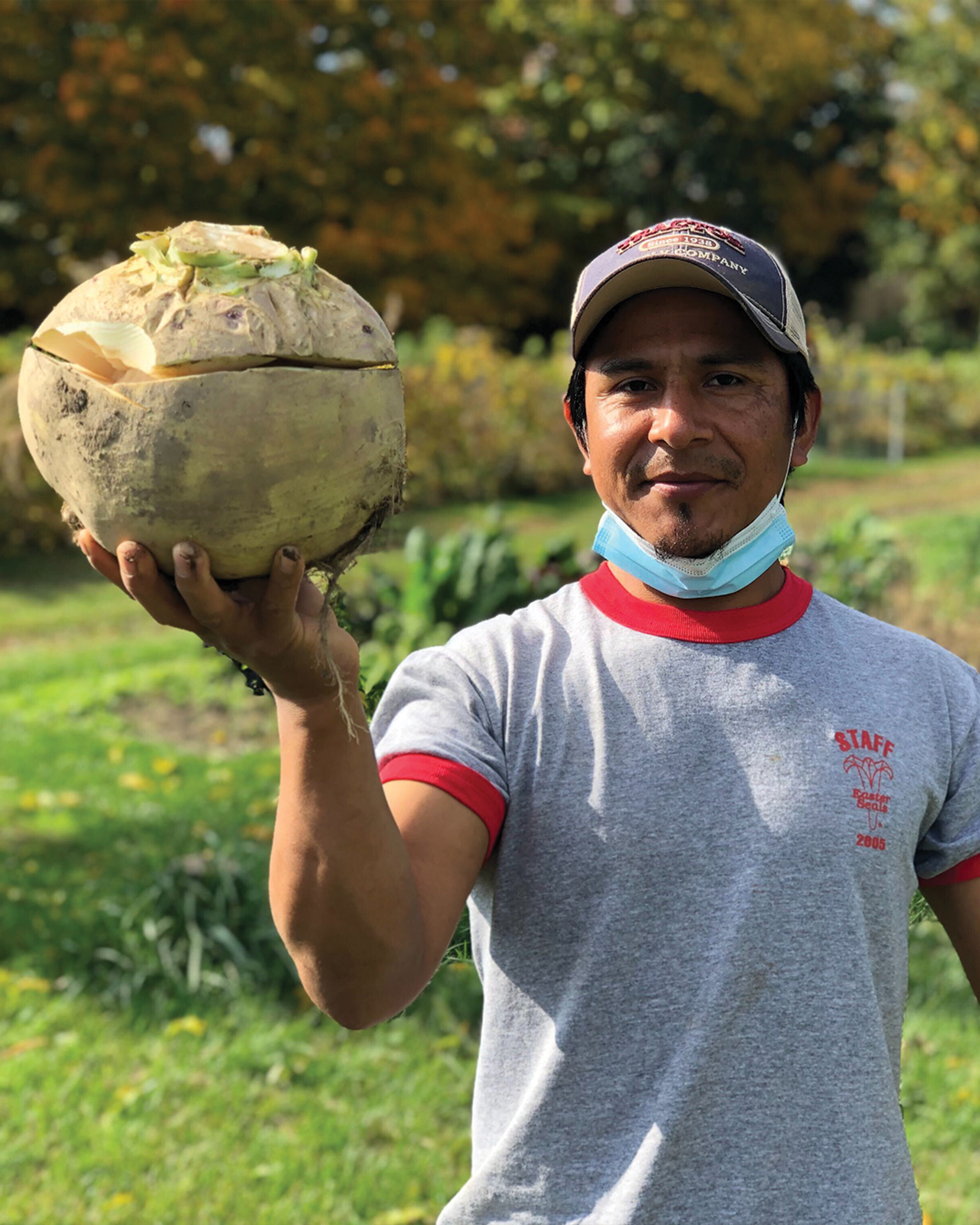 Season planner image