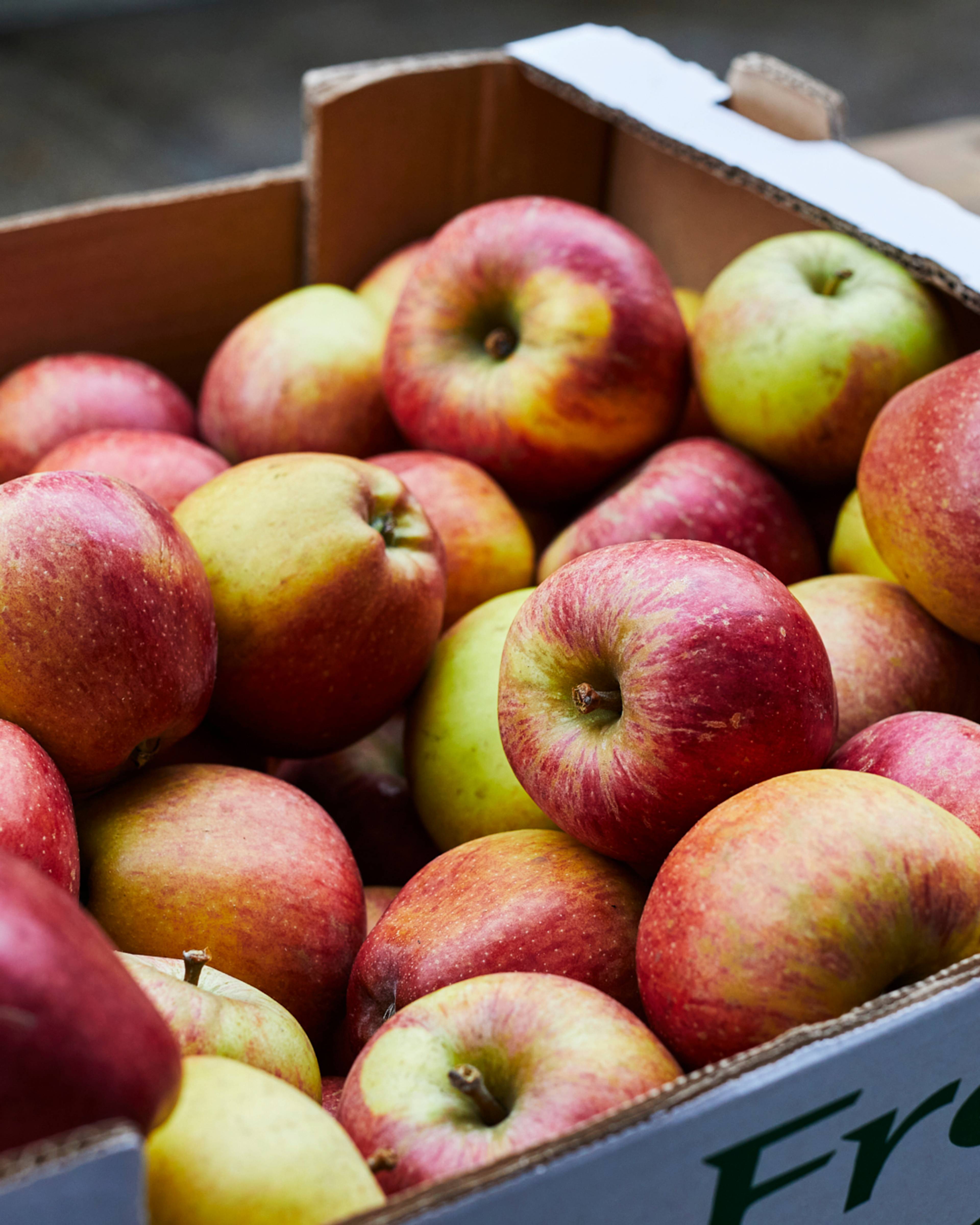 Apples in a crate