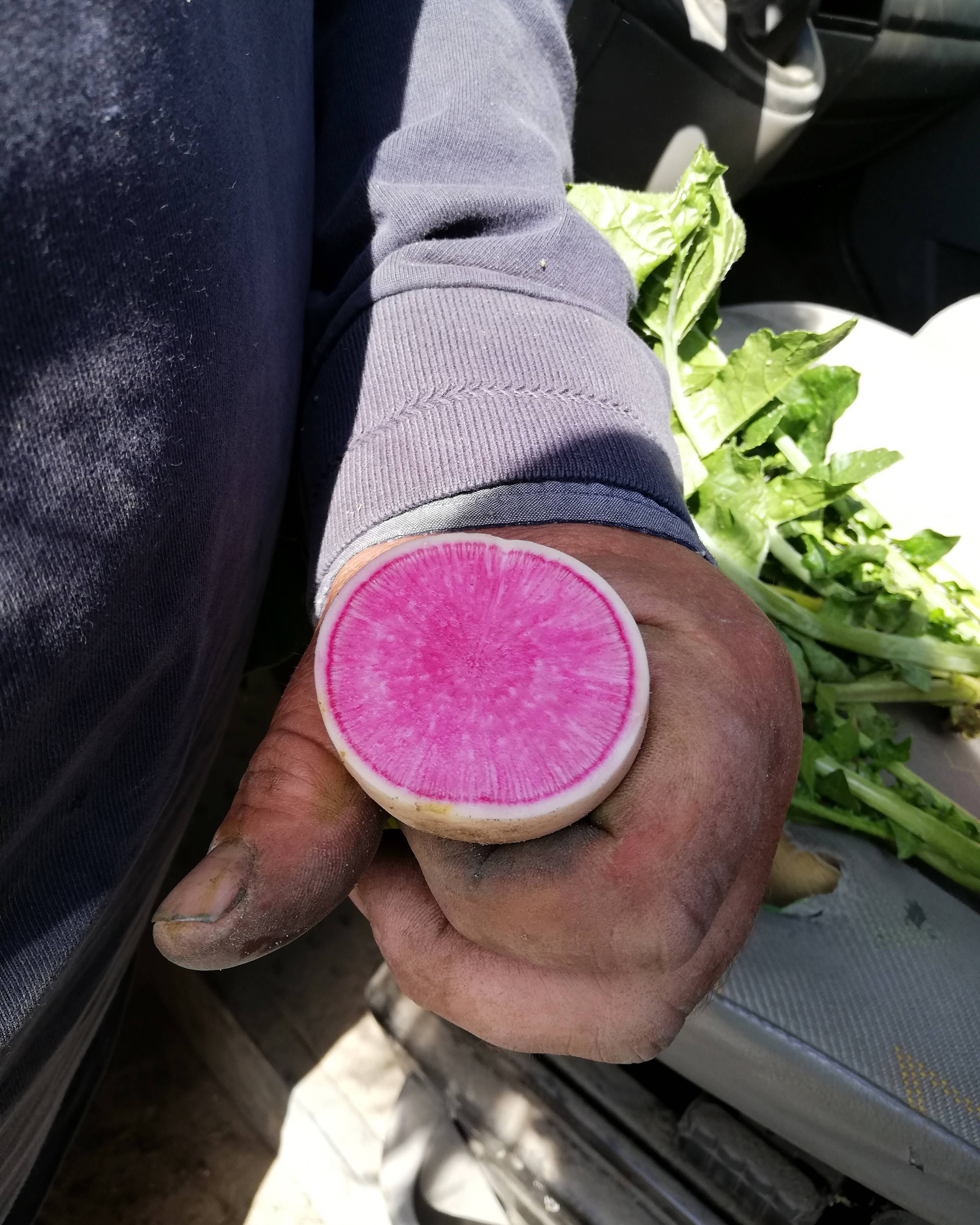 Season planner image