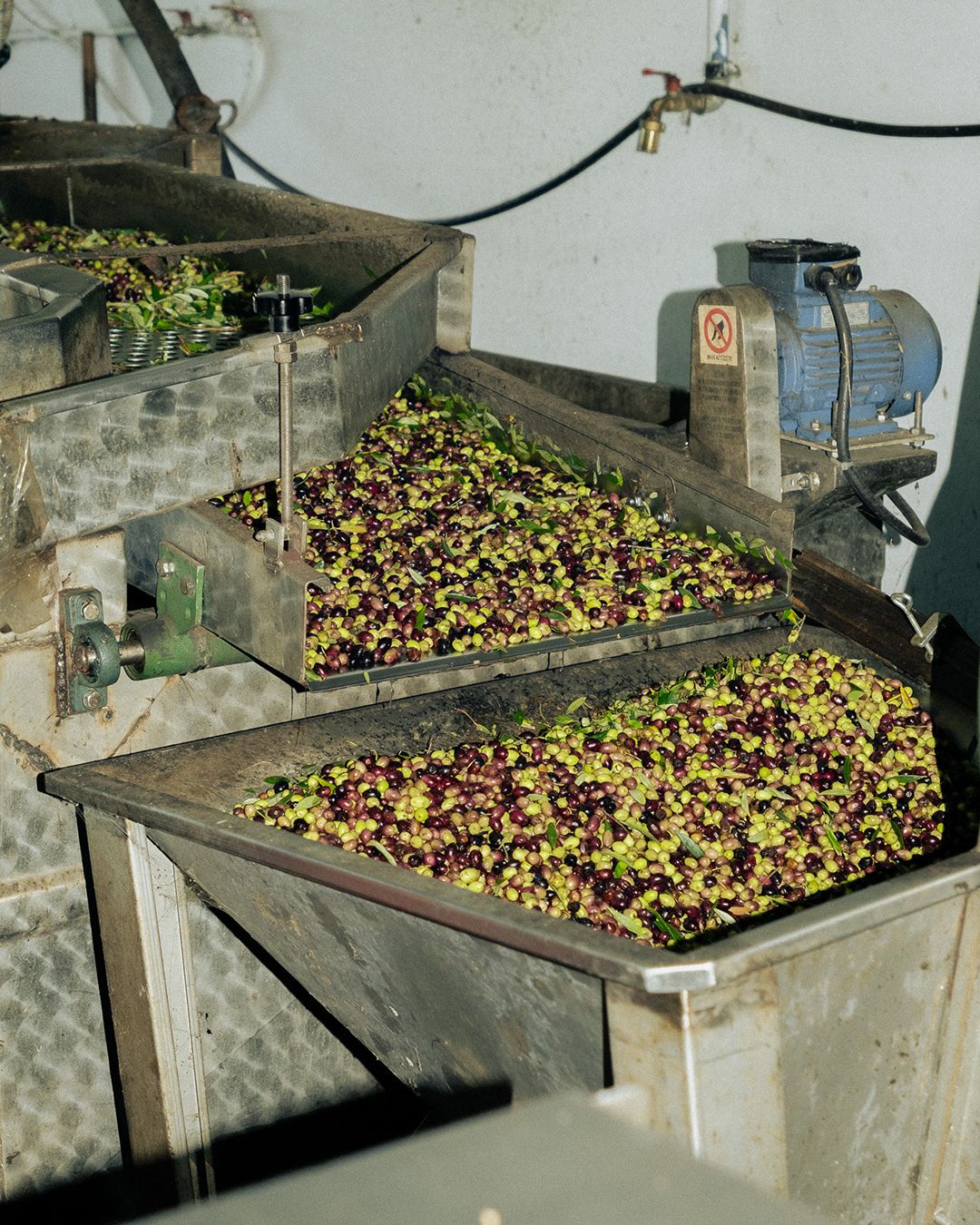 Images with caption alt text