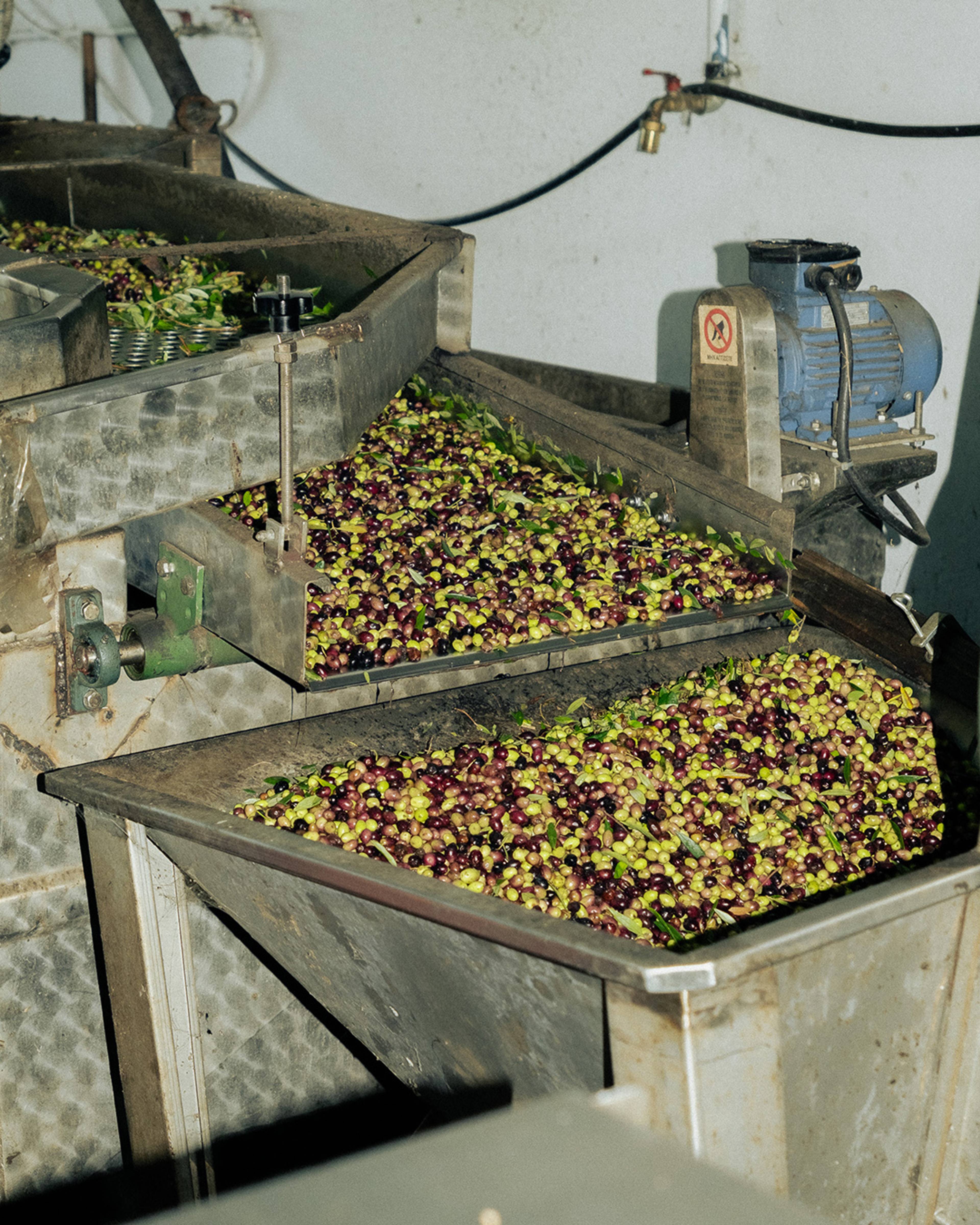 Images with caption alt text