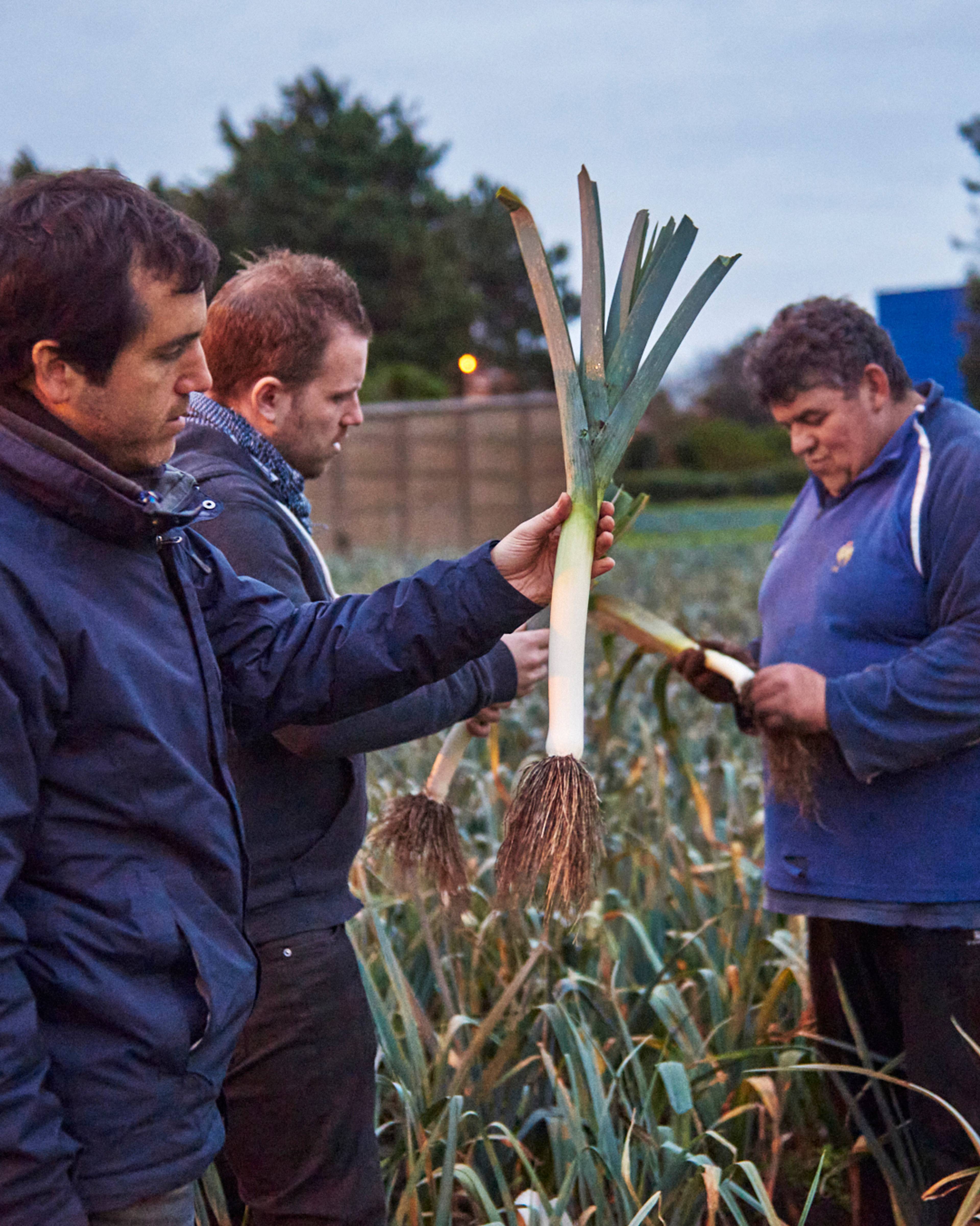 Franco and team visiting a French grower, holding up a freshly harvested leek