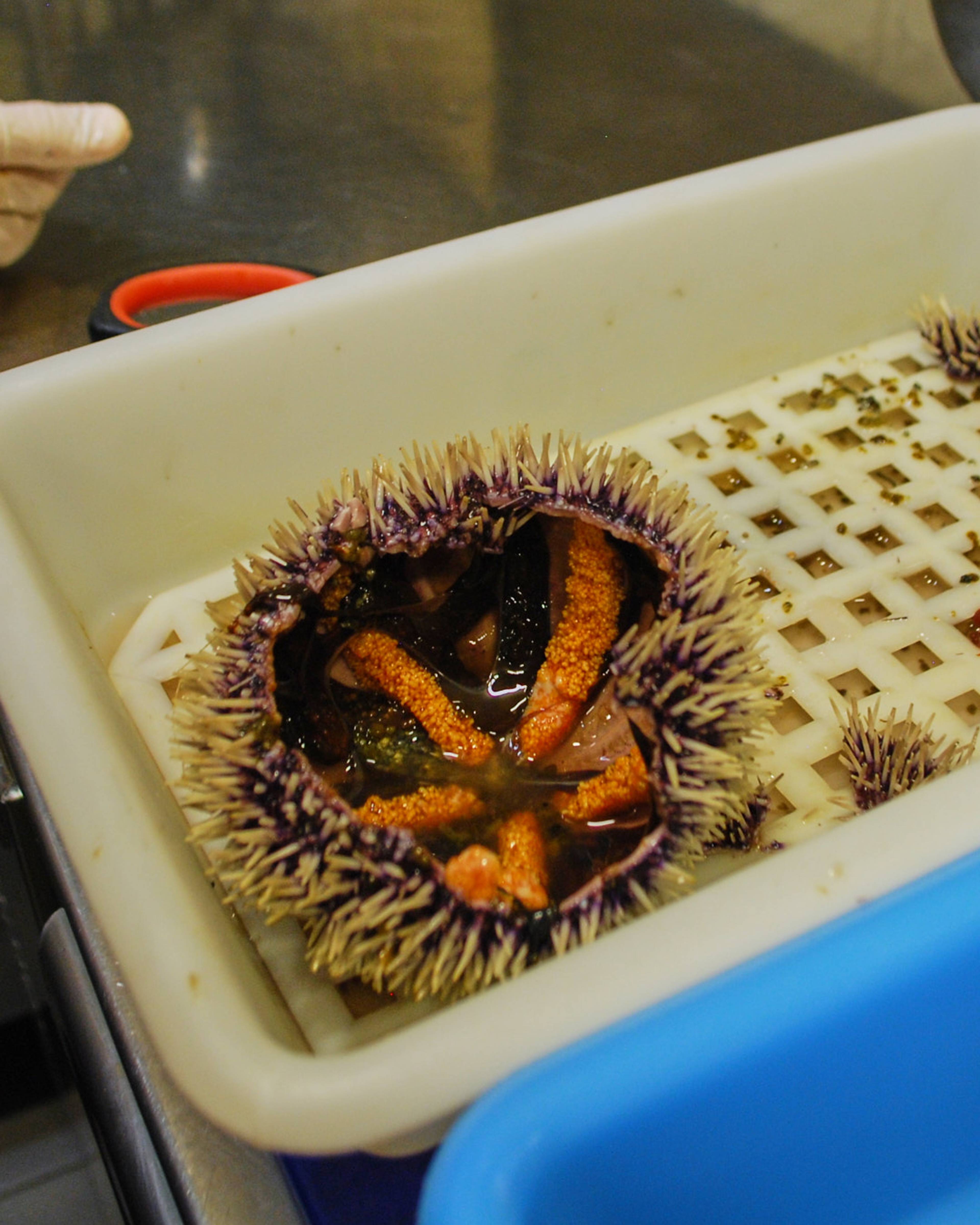 Images with caption alt text