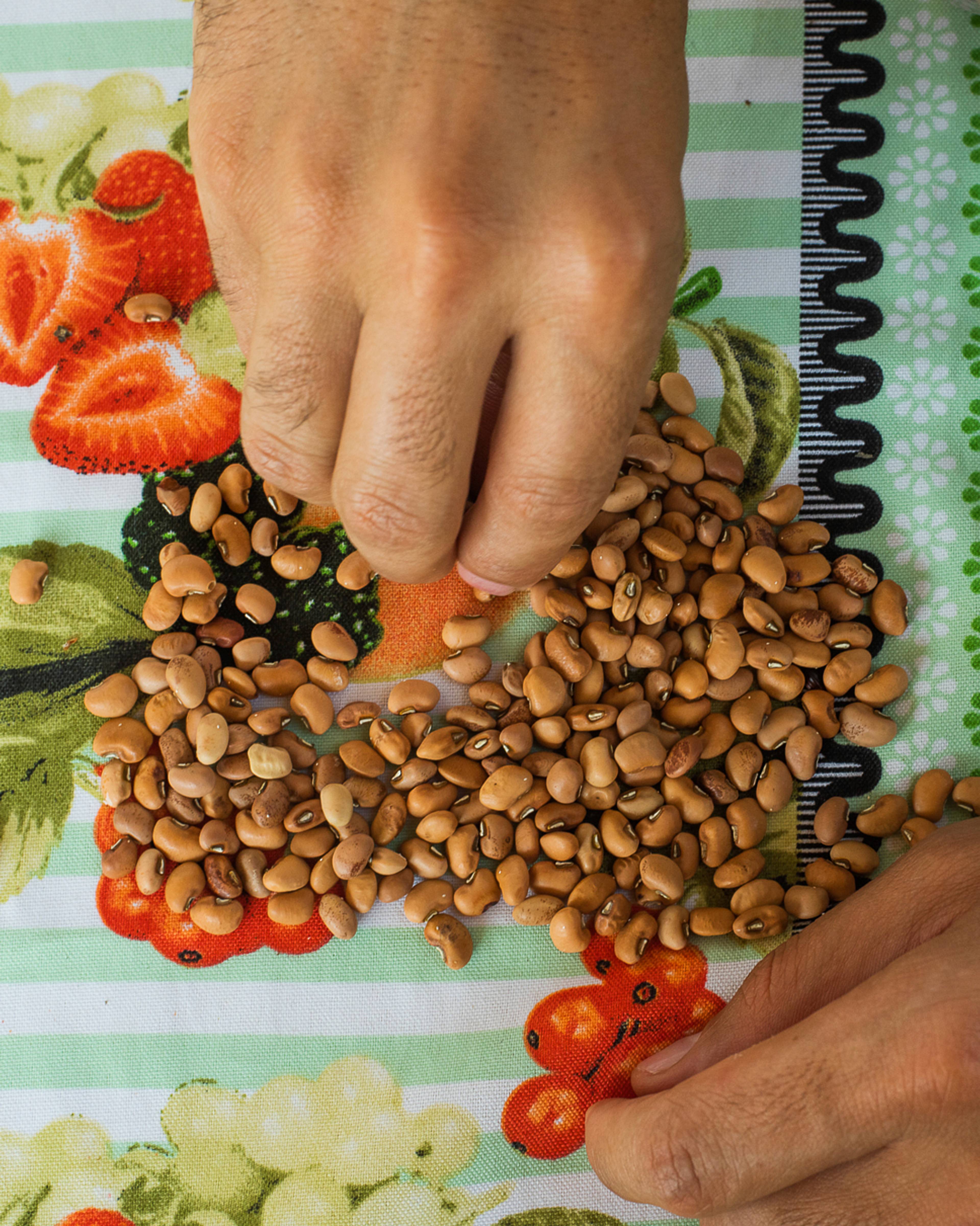 hands and a pile of beans