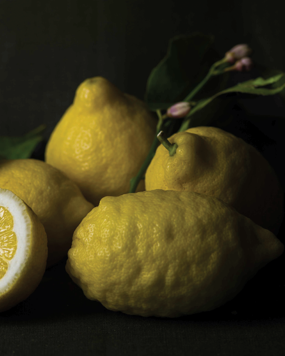 Season planner image