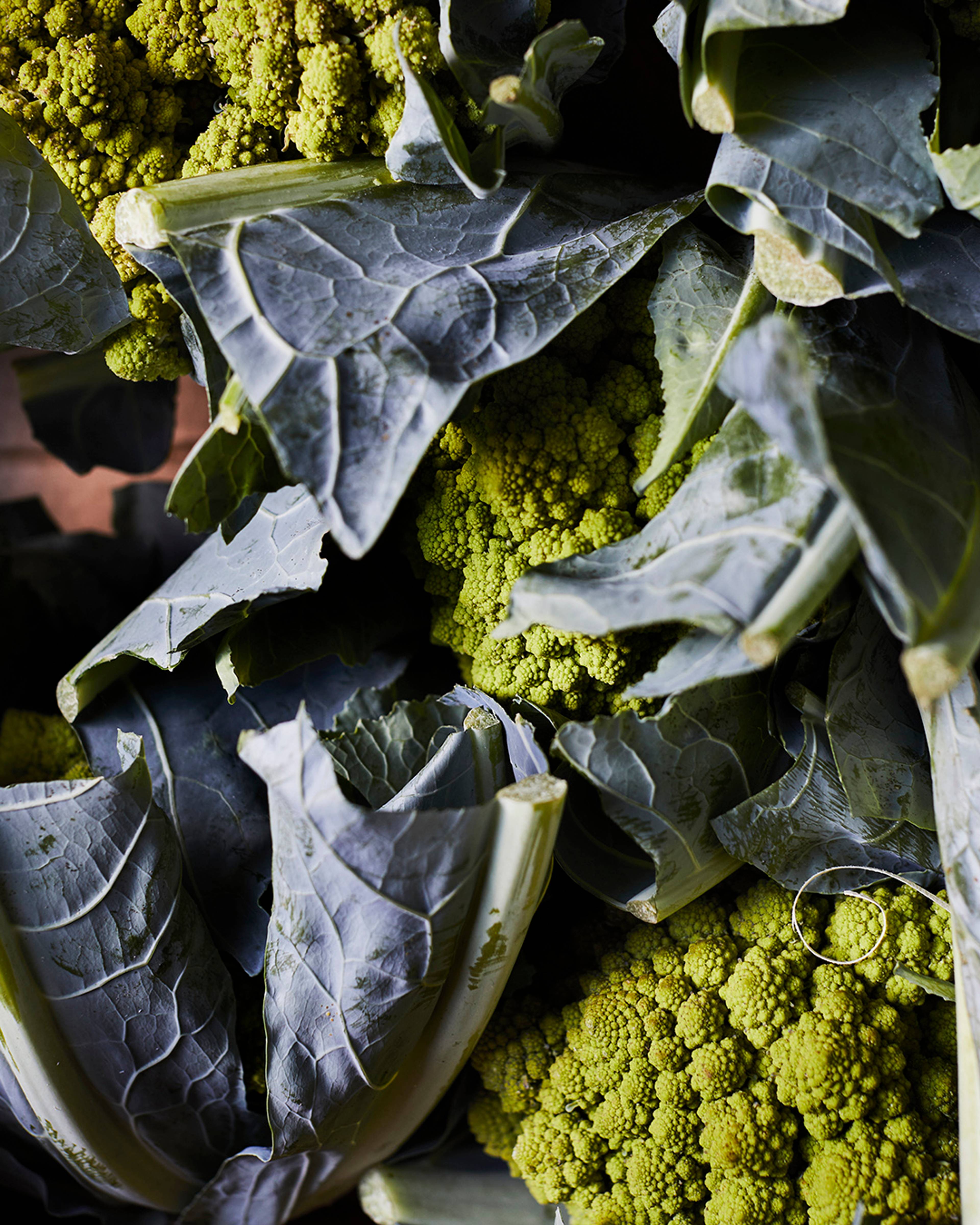 Season planner image