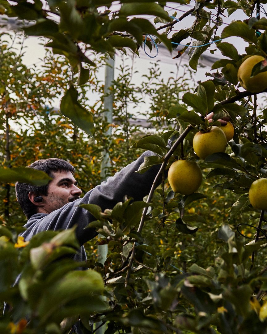 Season planner image