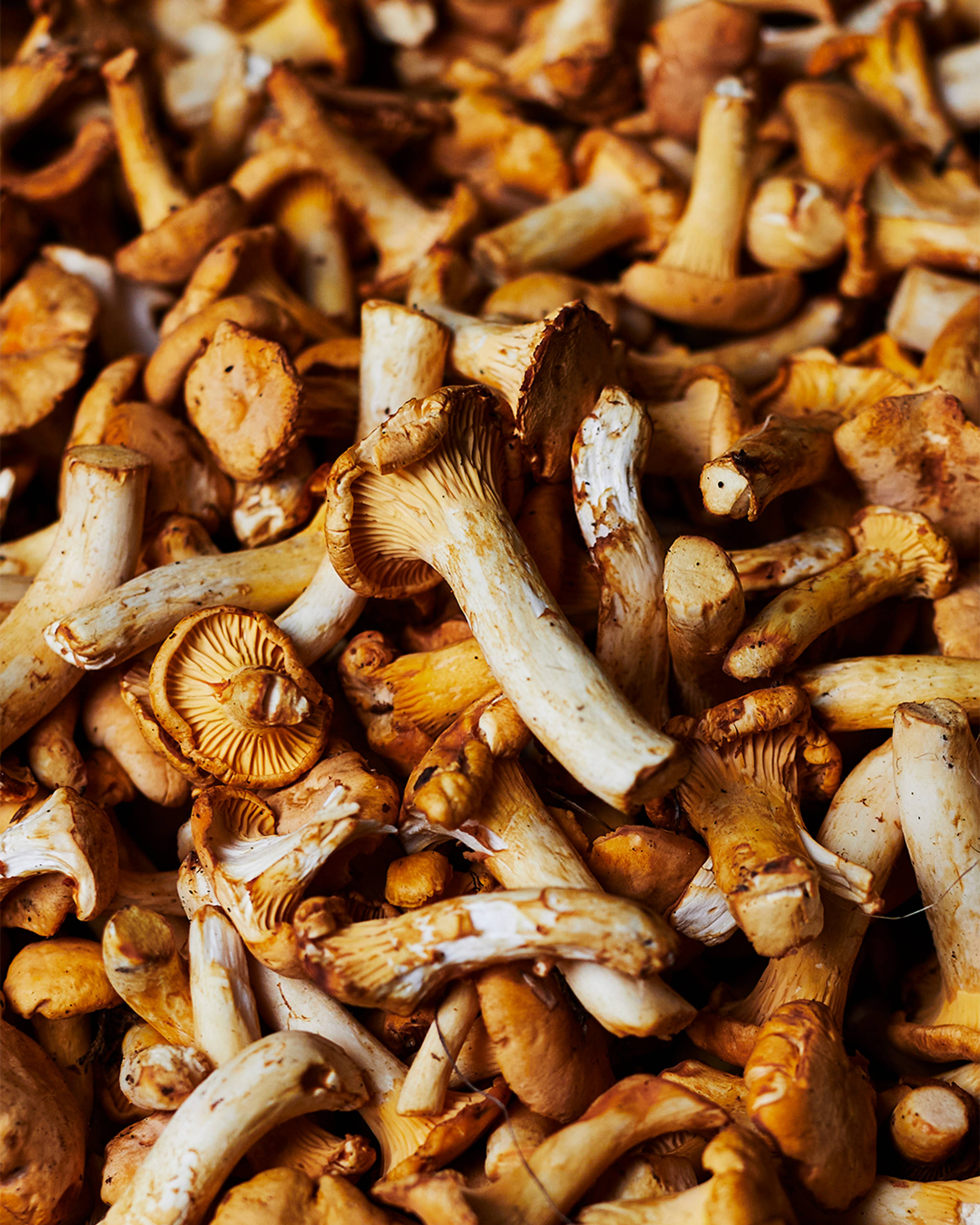 Season planner image