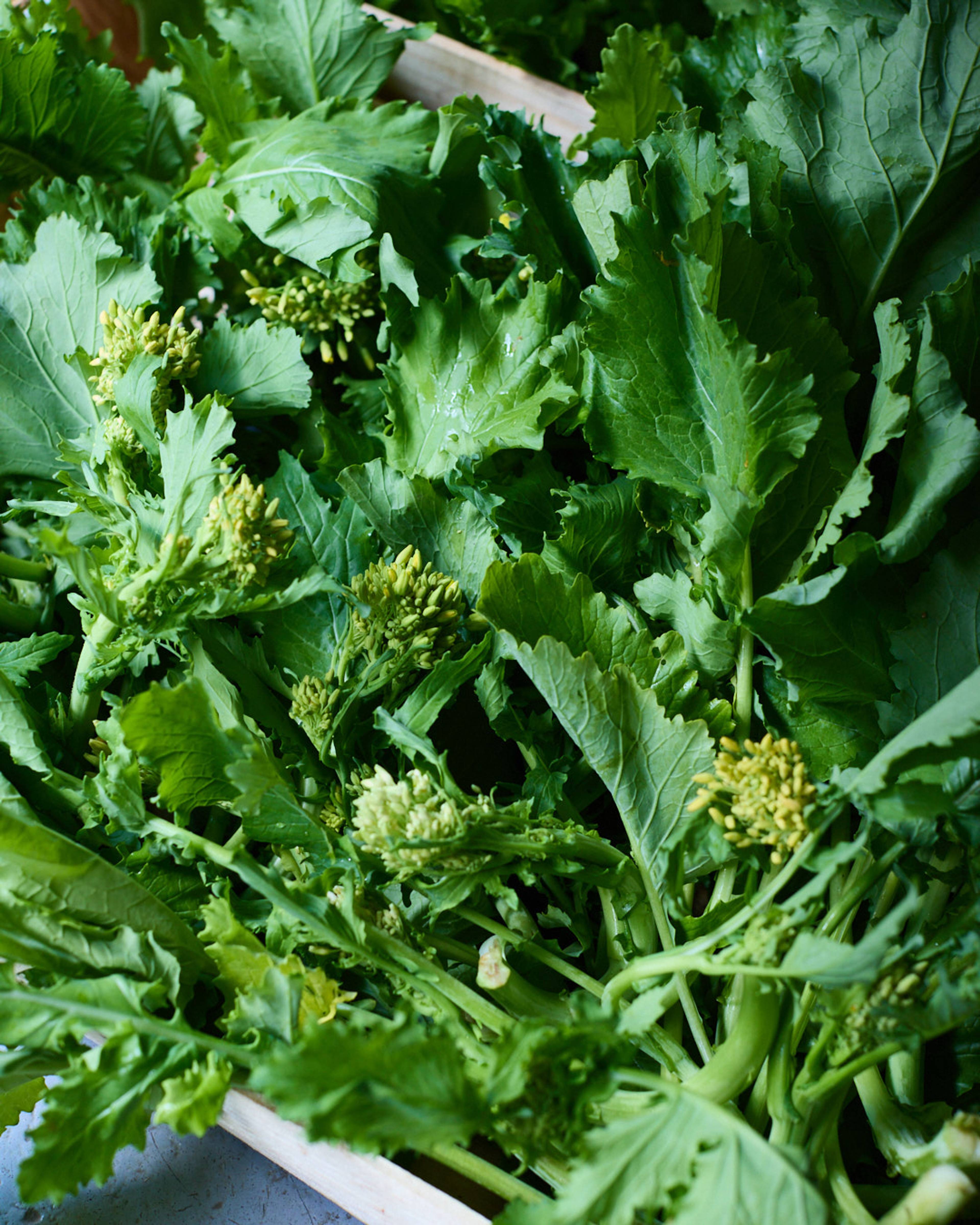 Season planner image