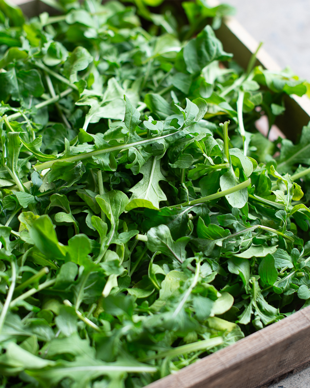 Season planner image